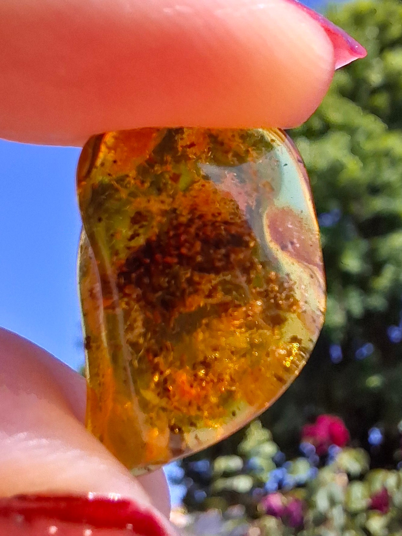 Baltic Amber, 1.13g, Fossil (Ref: A241)