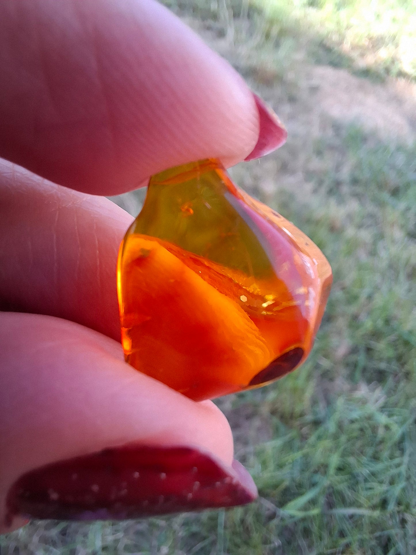Baltic Amber, 0.88g, Fossil (Ref: A254)