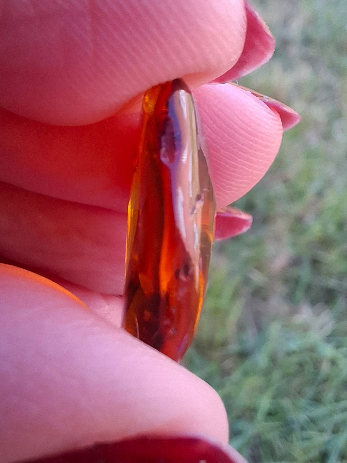 Baltic Amber, 0.88g, Fossil (Ref: A254)