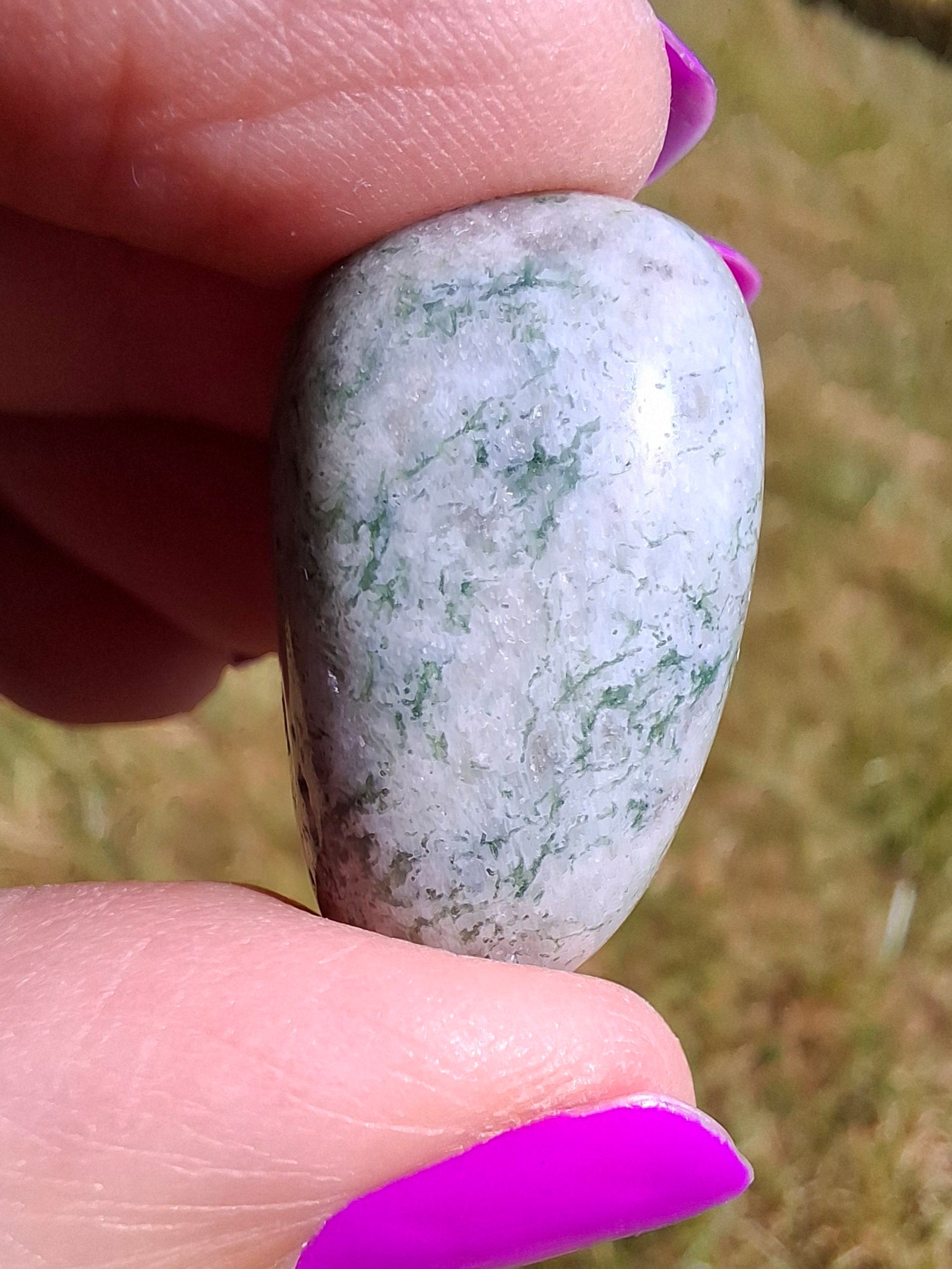 Tree Agate, Tumble Stone, Crystal (Ref: T7)