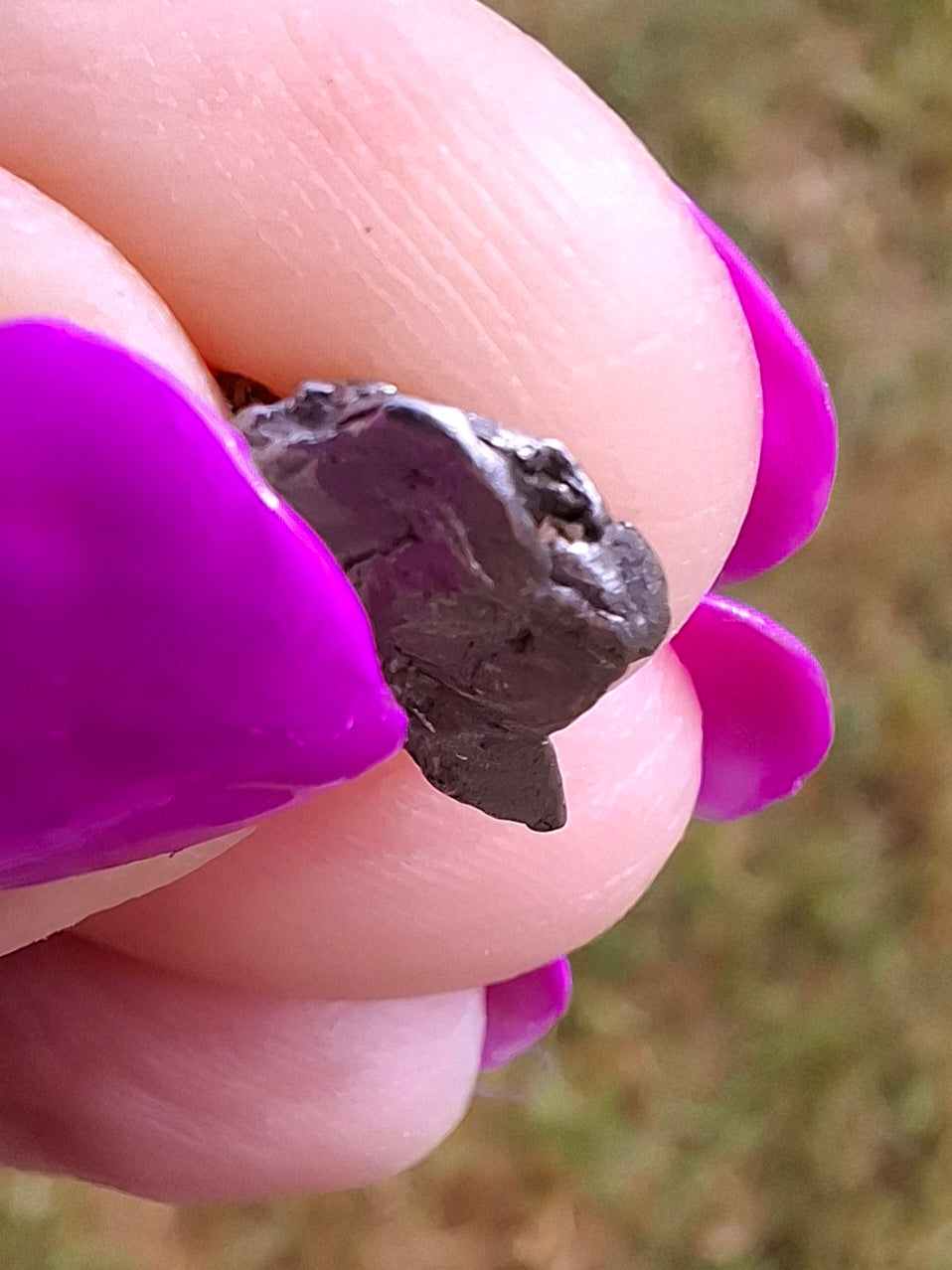 Campo del Cielo, 0.55g, Nickel Iron Meteorite (Ref: C3)