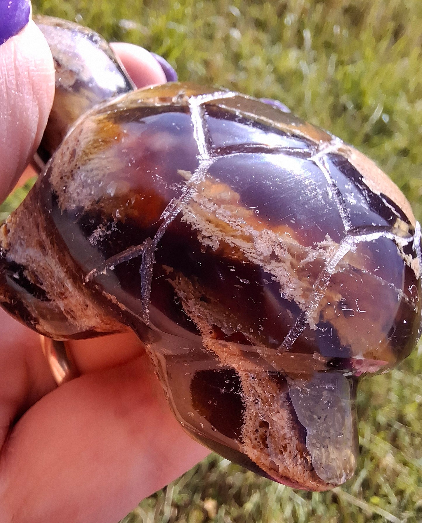 Red Amber Turtle, 56.87g, Carving, Fossil (Ref:TT7)