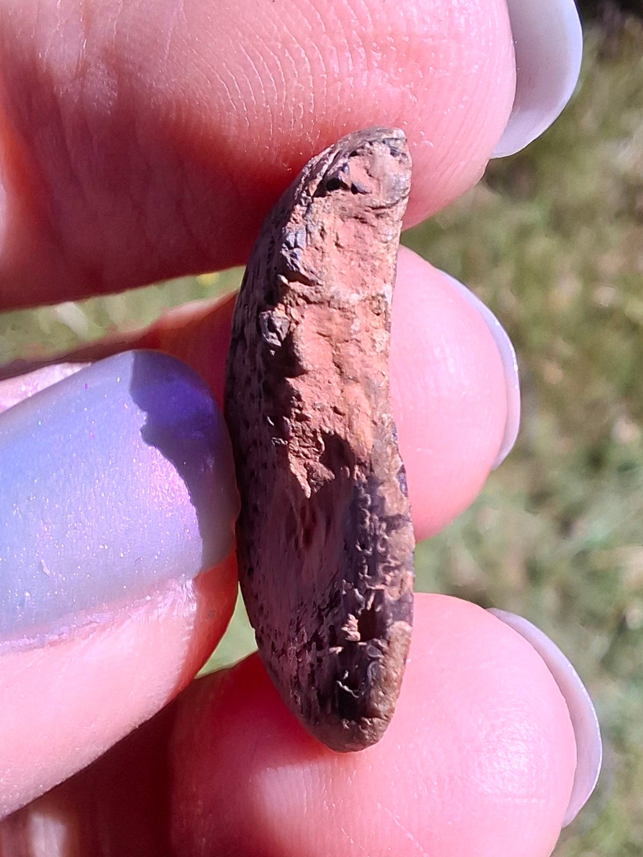 Small Haematite Ammonite HALF, 2.55g, Fossil (Ref: MA8)