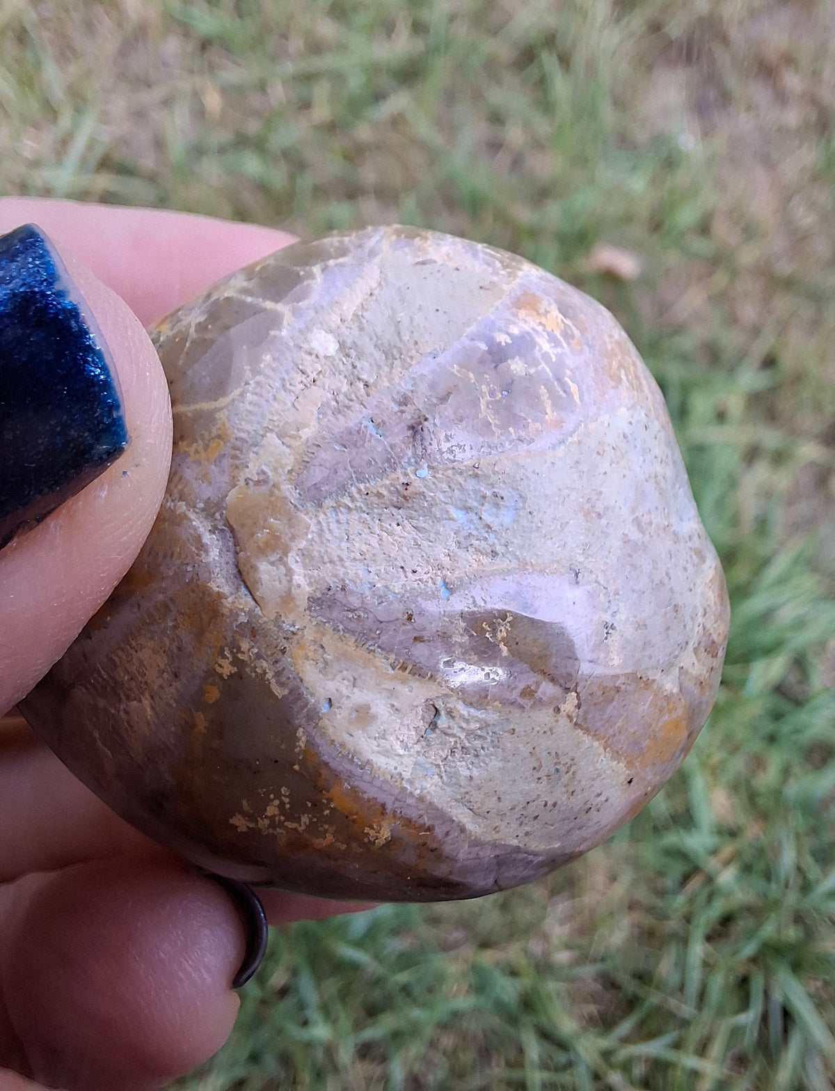 Polished Sea Urchin, Fossil (Ref: SU5)