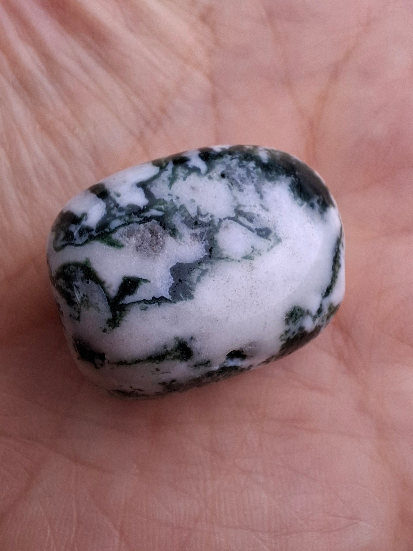 Tree Agate, Tumble Stone, Crystal (Ref: T5)