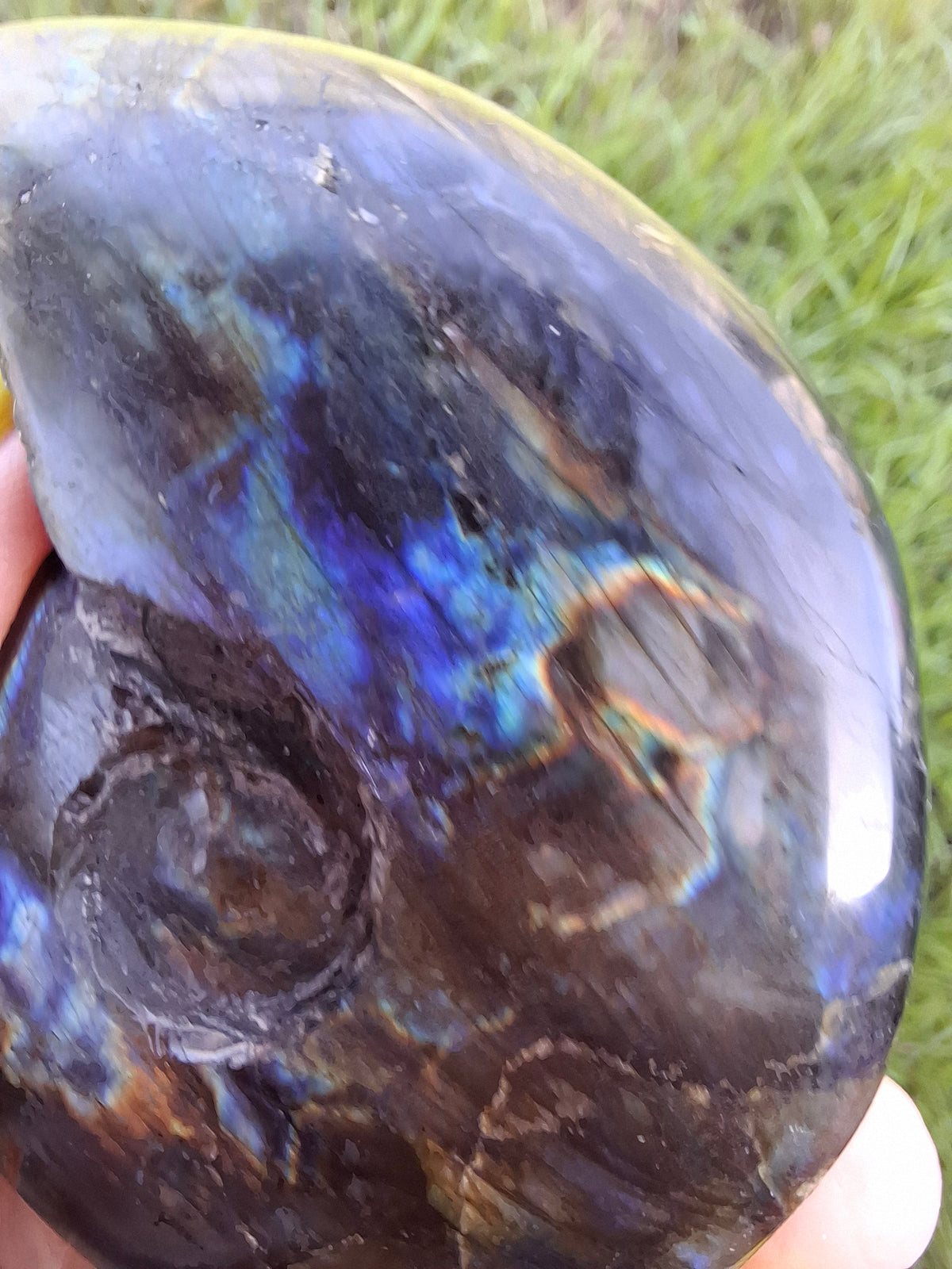 Labradorite Ammonite Carving, 153.97g, Crystal (Ref: laba2)