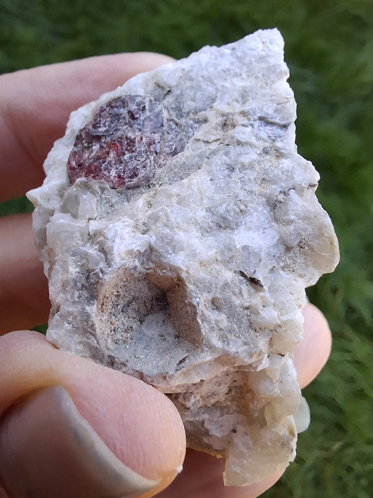 (Dig your own) Garnet in Matrix, Crystal (Ref: RG3)