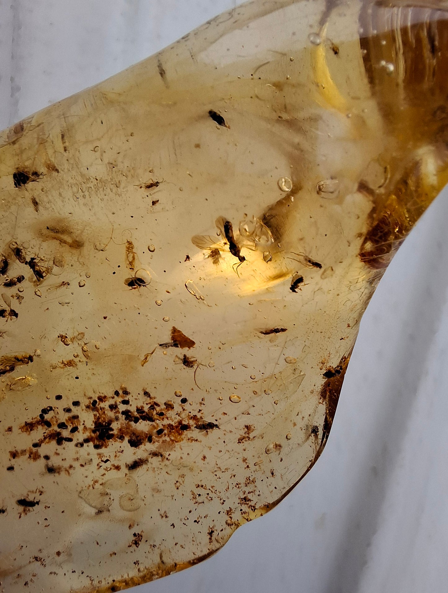 Copal Young Amber with INSECTS inside, 28.43g, Fossil (Ref: CA10)