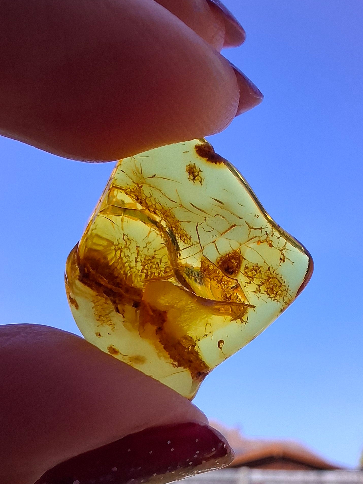 Baltic Amber, 1.51g, Fossil (Ref: A236)