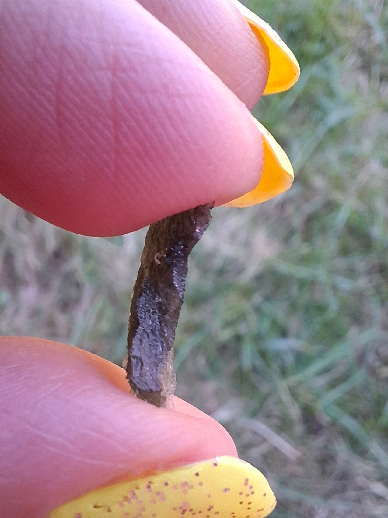 Moldavite Piece, 0.48g, Tektite (Ref: 1480)