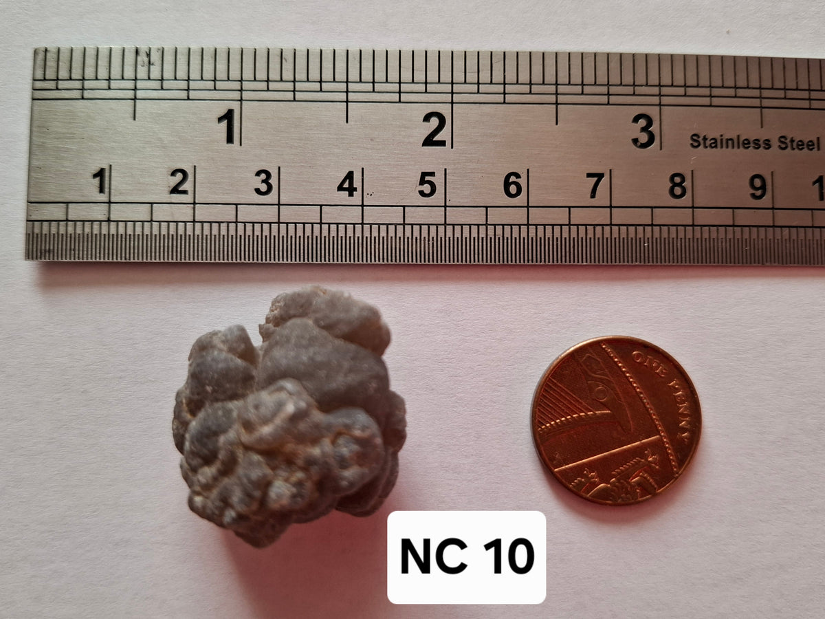 Nebula Chalcedony, 16.57g, Fossil (Ref: NC10)
