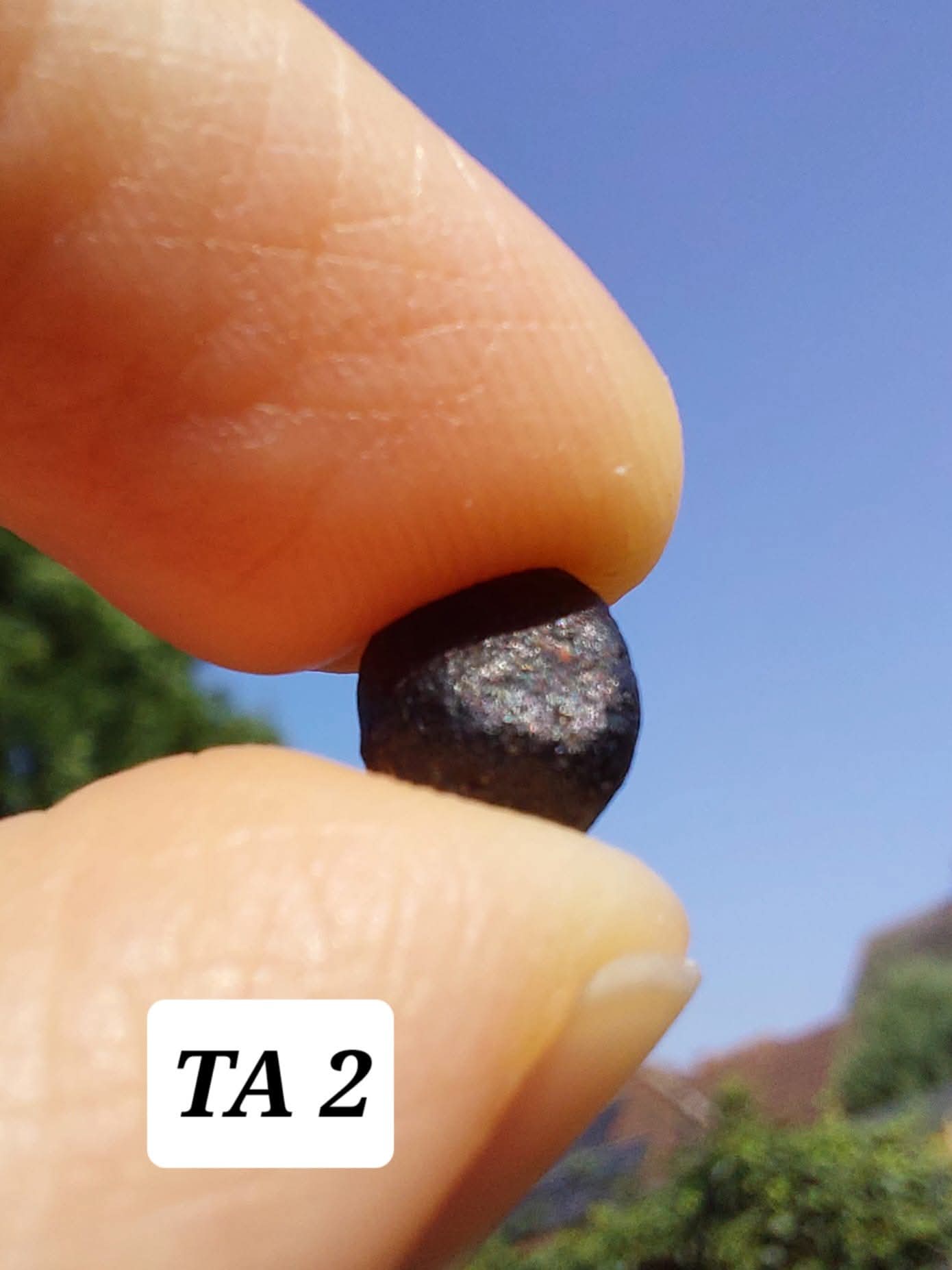 Atacamite, 0.43g, Tektite (Ref: TA2)