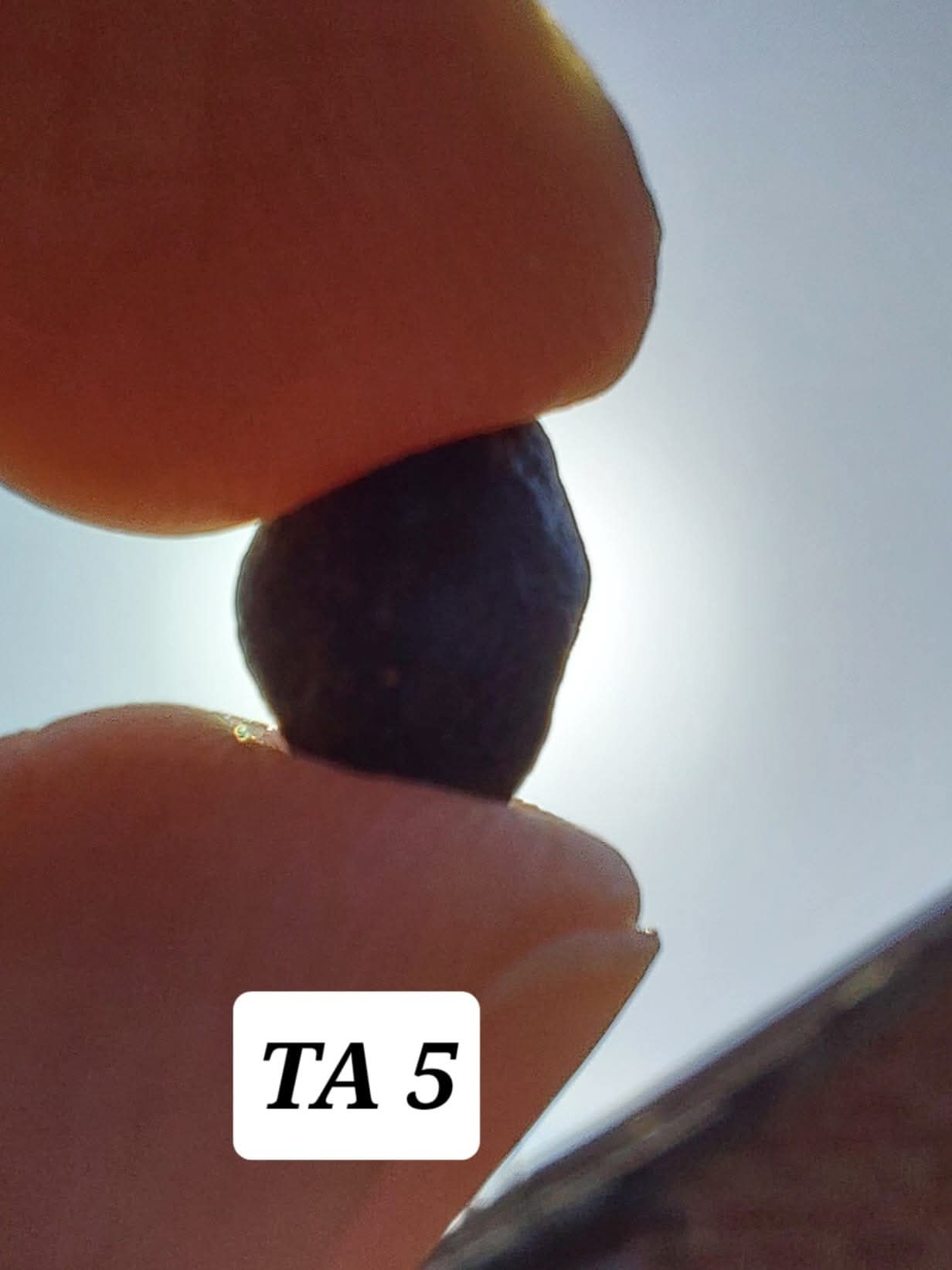 Atacamite, 0.49g, Tektite (Ref: TA5)
