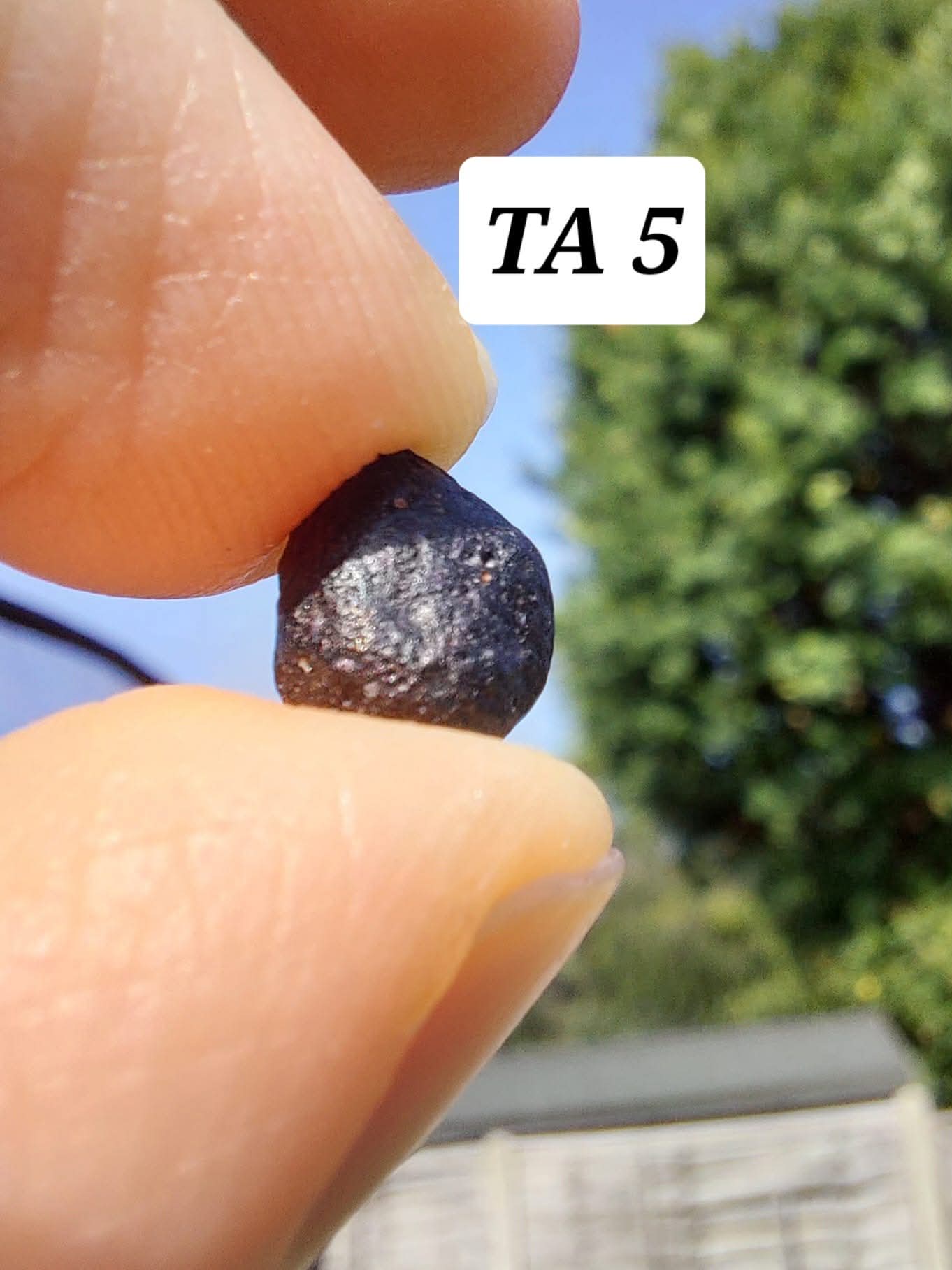 Atacamite, 0.49g, Tektite (Ref: TA5)