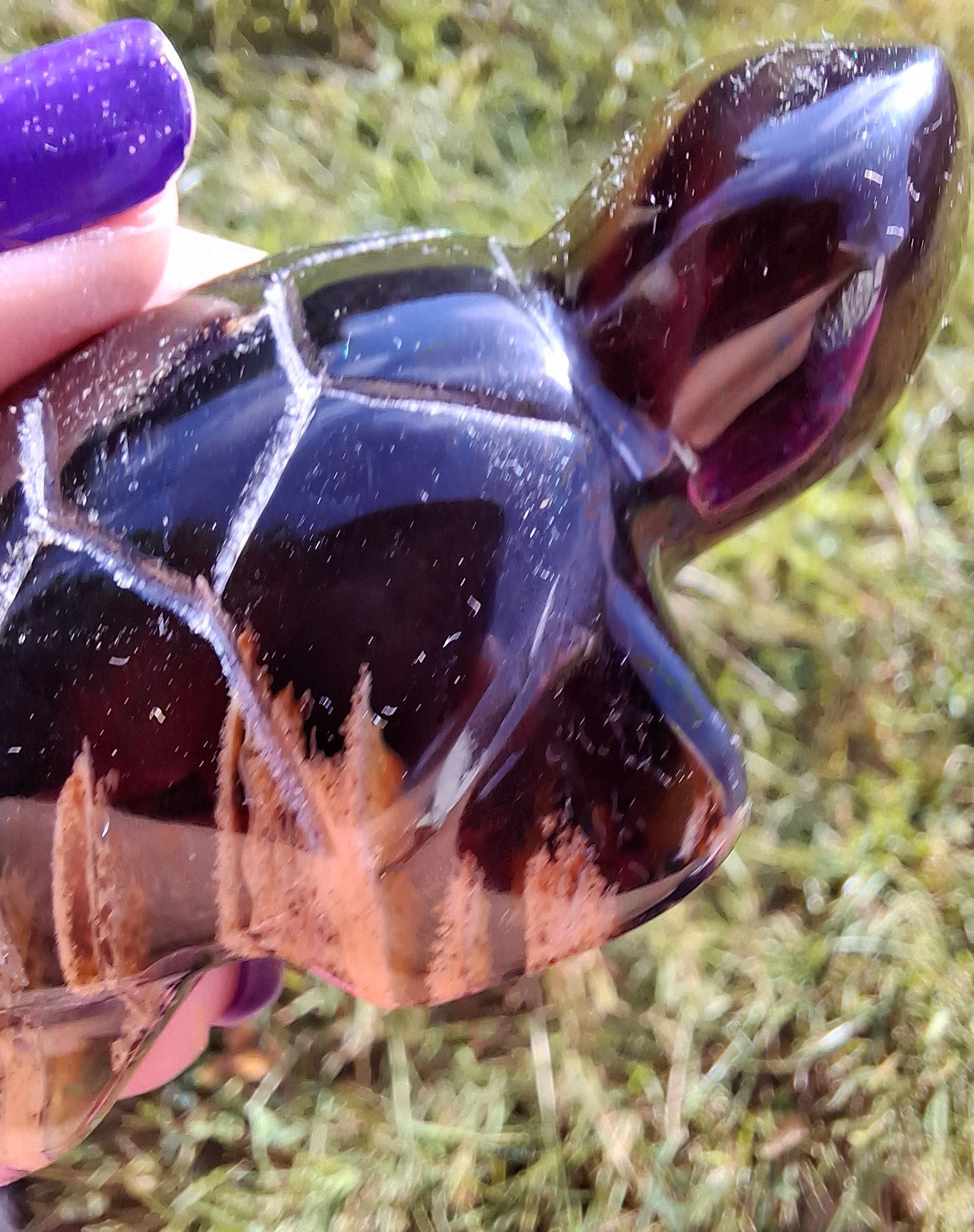 Red Amber Turtle, 47.85g, Carving, Fossil (Ref: TT4)