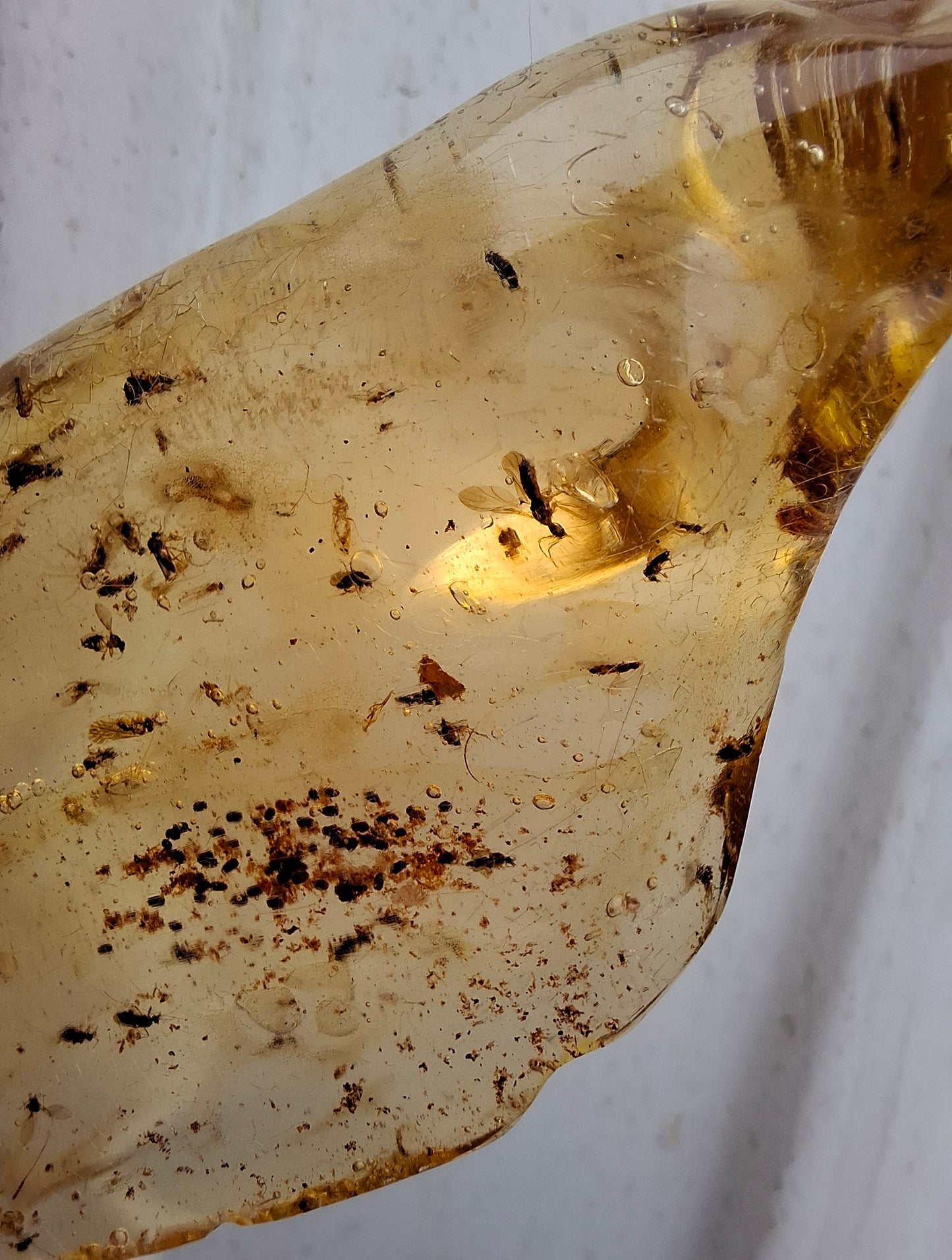Copal Young Amber with INSECTS inside, 28.43g, Fossil (Ref: CA10)