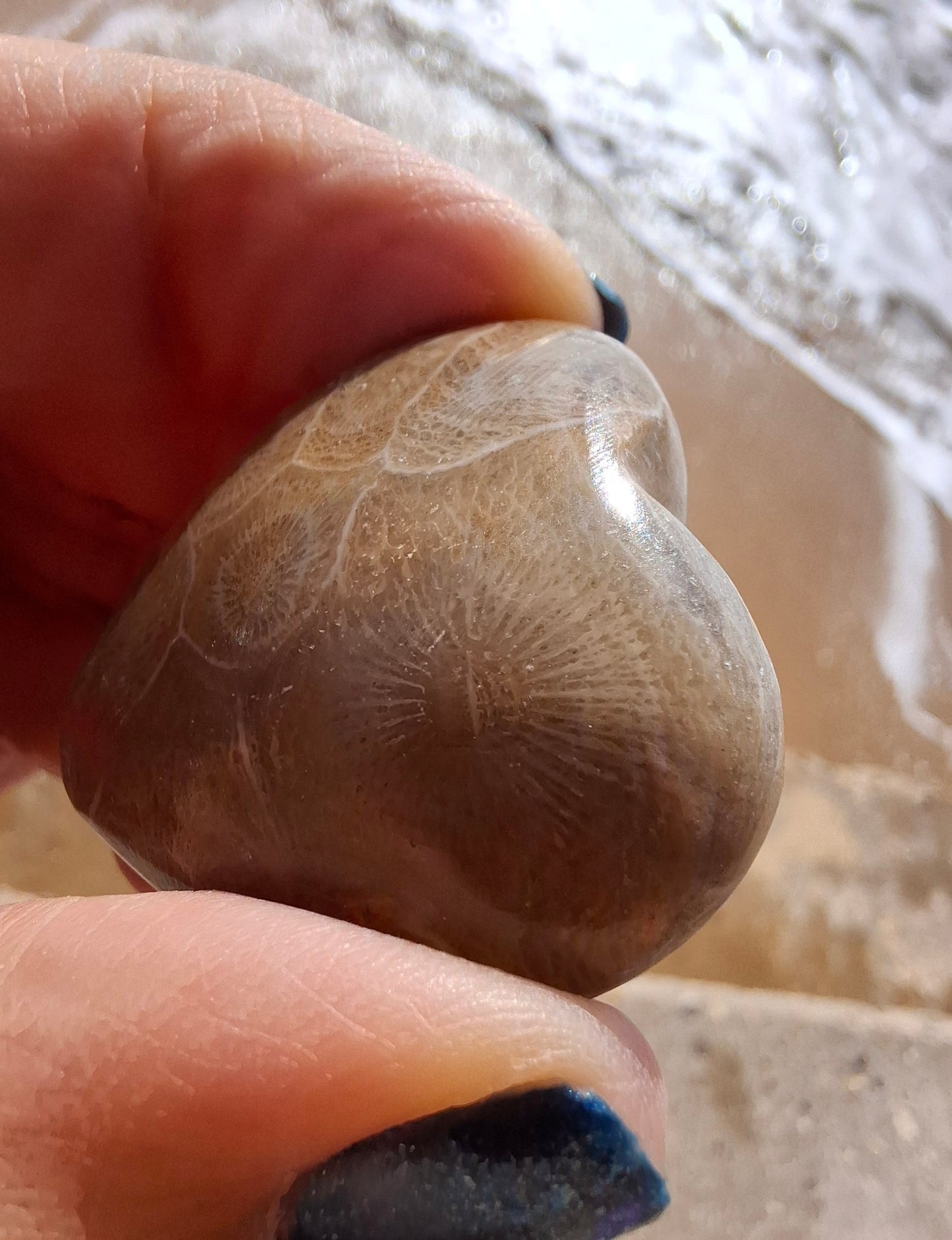 Fossil Coral Heart, (Ref: CoH2)