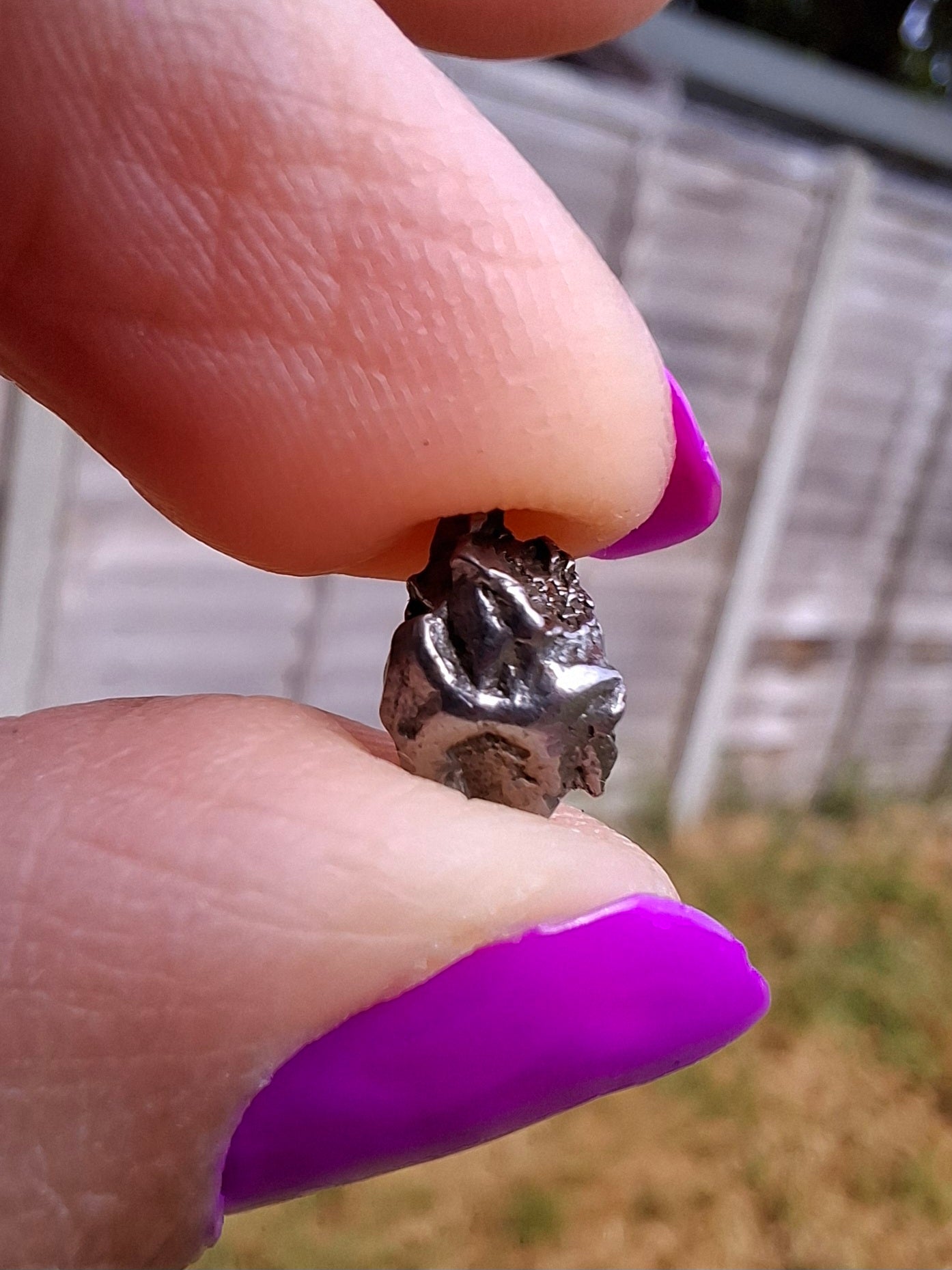 Campo del Cielo, 0.87g, Nickel Iron Meteorite (Ref: C4)