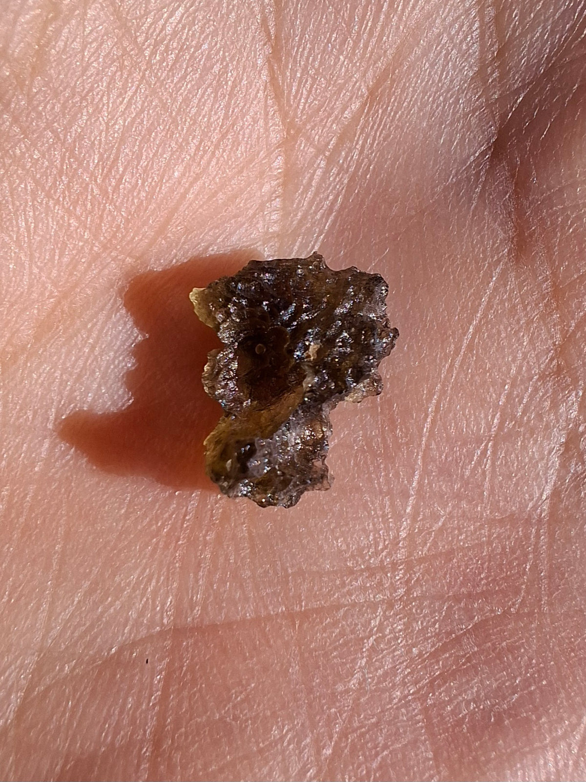 Moldavite Piece, 0.33g, Tektite (Ref: 1519)