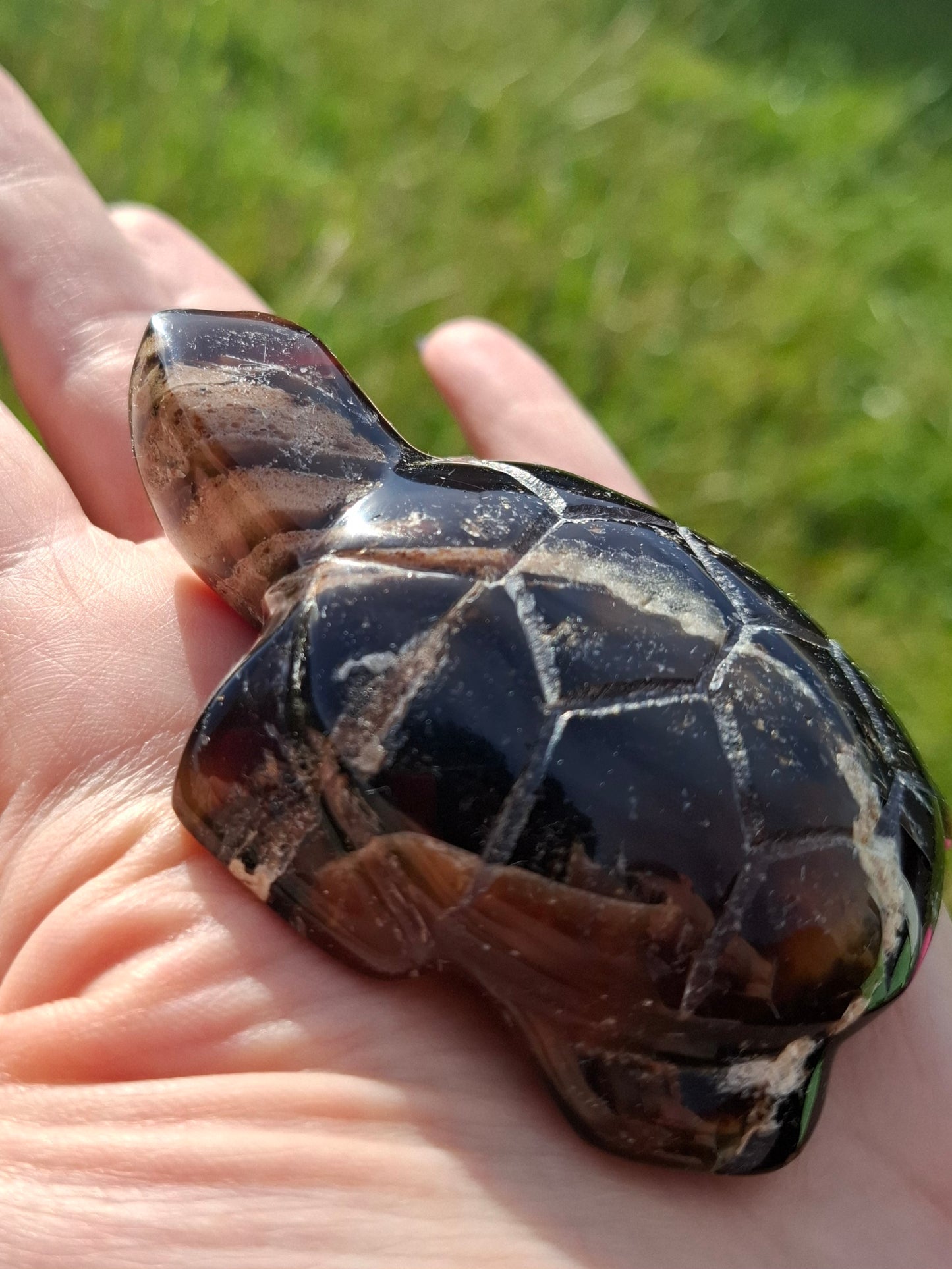 Red Amber Turtle, 50.00g, Carving, Fossil (Ref: TT6)