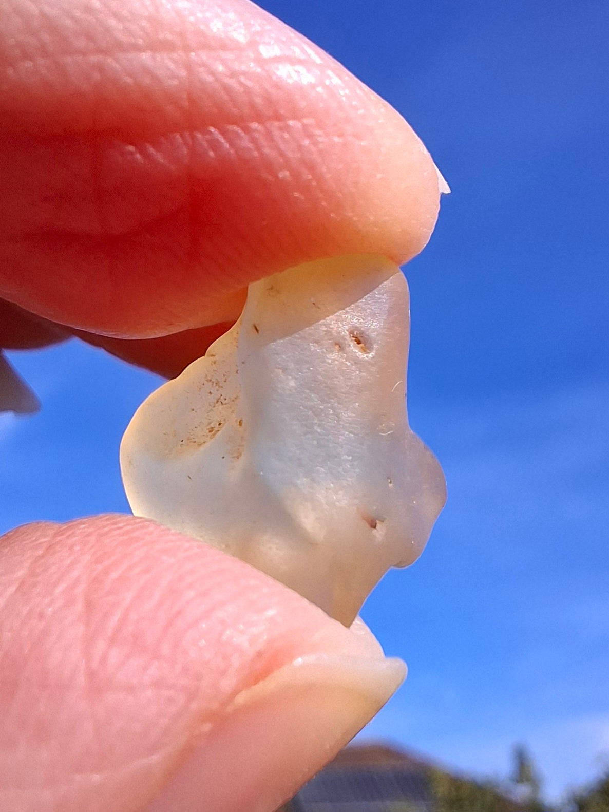 Libyan Desert Glass small Piece, 1.53g, Tektite (Ref: L1346)