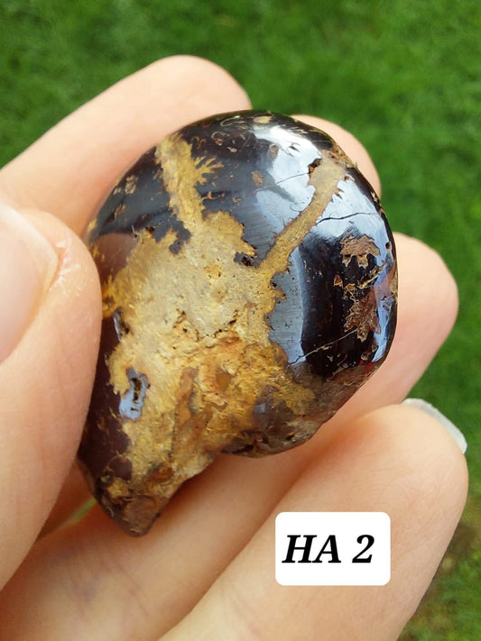 Hematite Ammonite, 22.72g, Fossil (Ref: HA2)