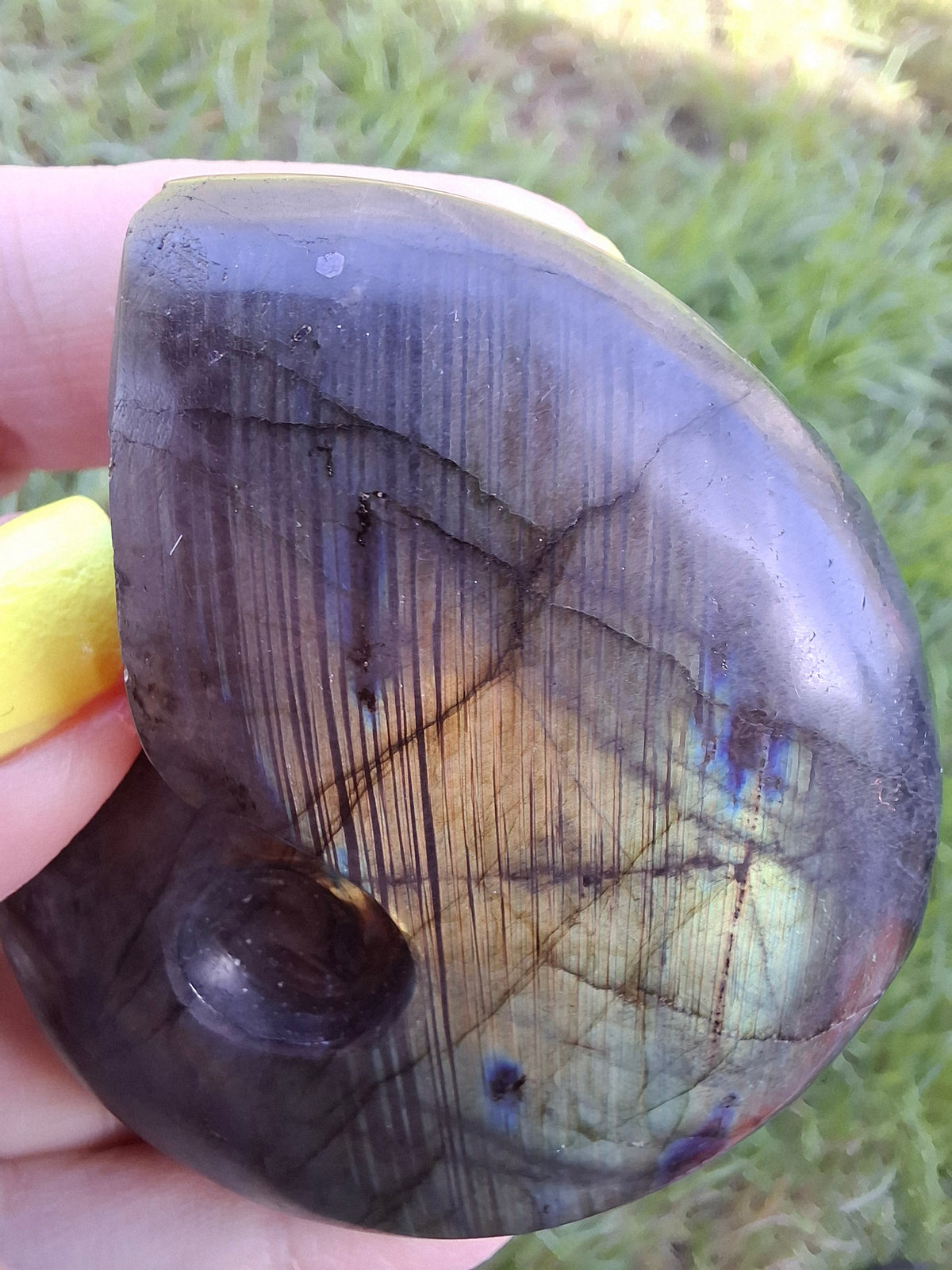 Labradorite Ammonite carving, 96.88g, Crystal (Ref: laba1)