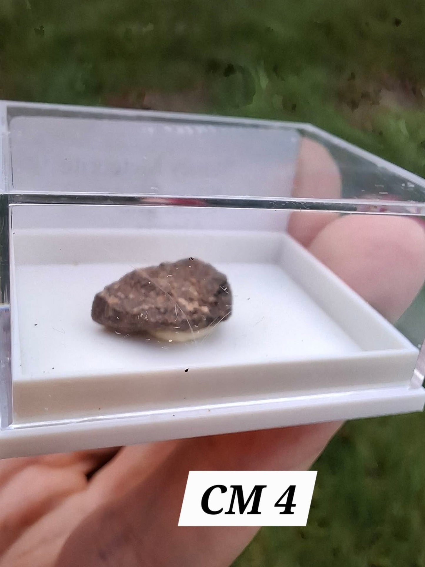 Chrondrite, Meteorite (Ref: CM4)