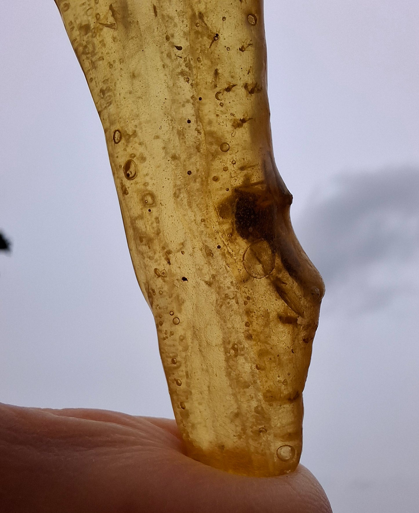 Copal Young Amber with INSECTS inside, 18.29g, Fossil (Ref: CA33)