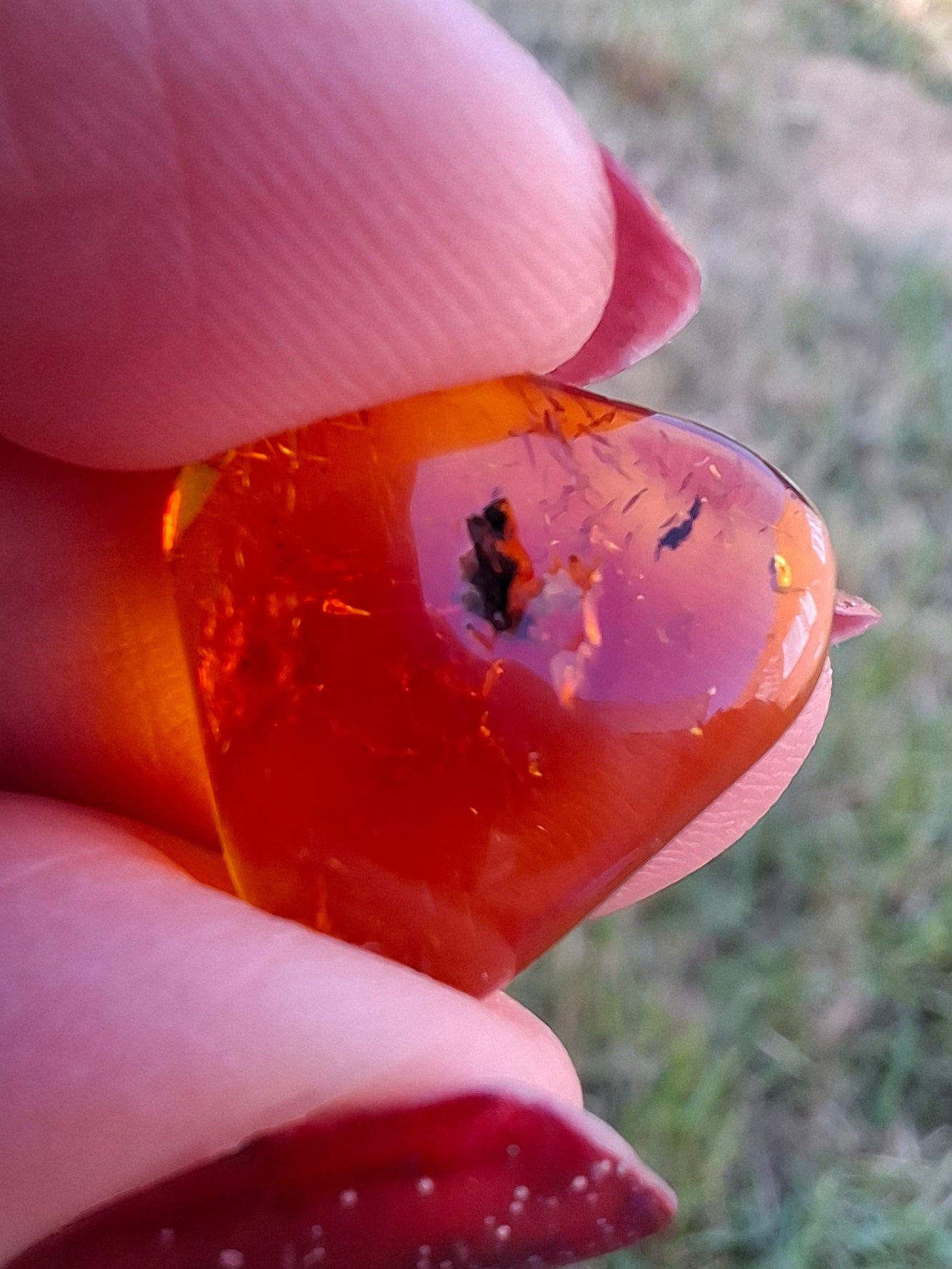 Baltic Amber, 0.97g, Fossil (Ref: A249)