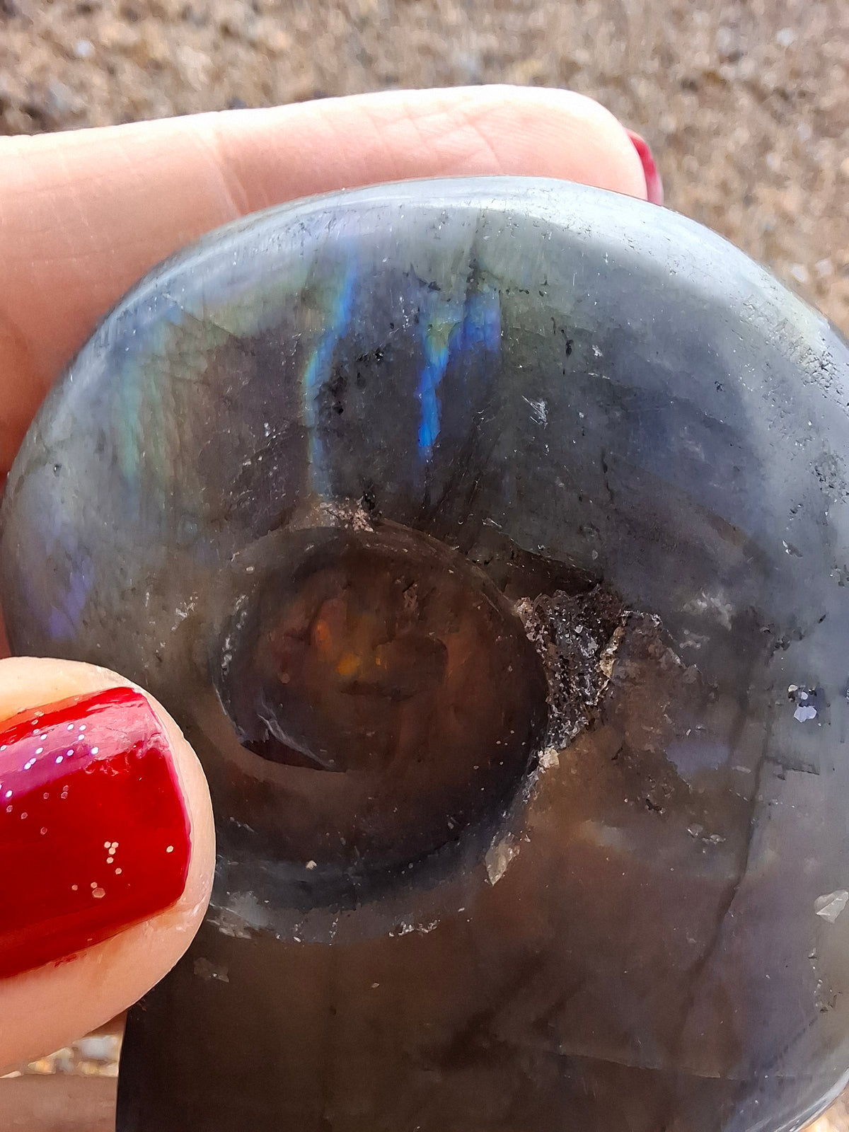 Labradorite Ammonite Carving, 146.90g, Crystal (Ref: laba5)