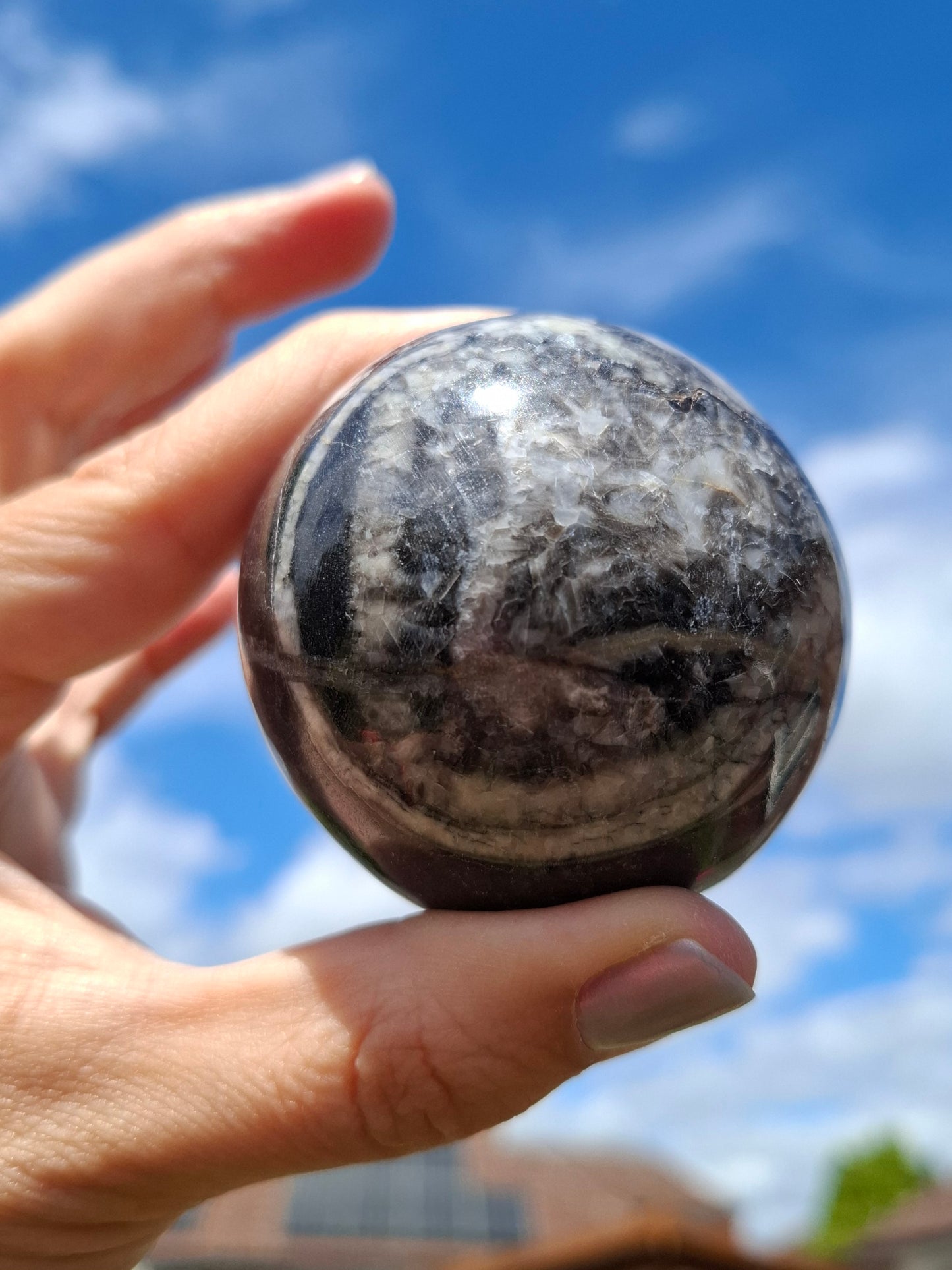 Orthoceras Sphere, Fossil (Ref: OS4)