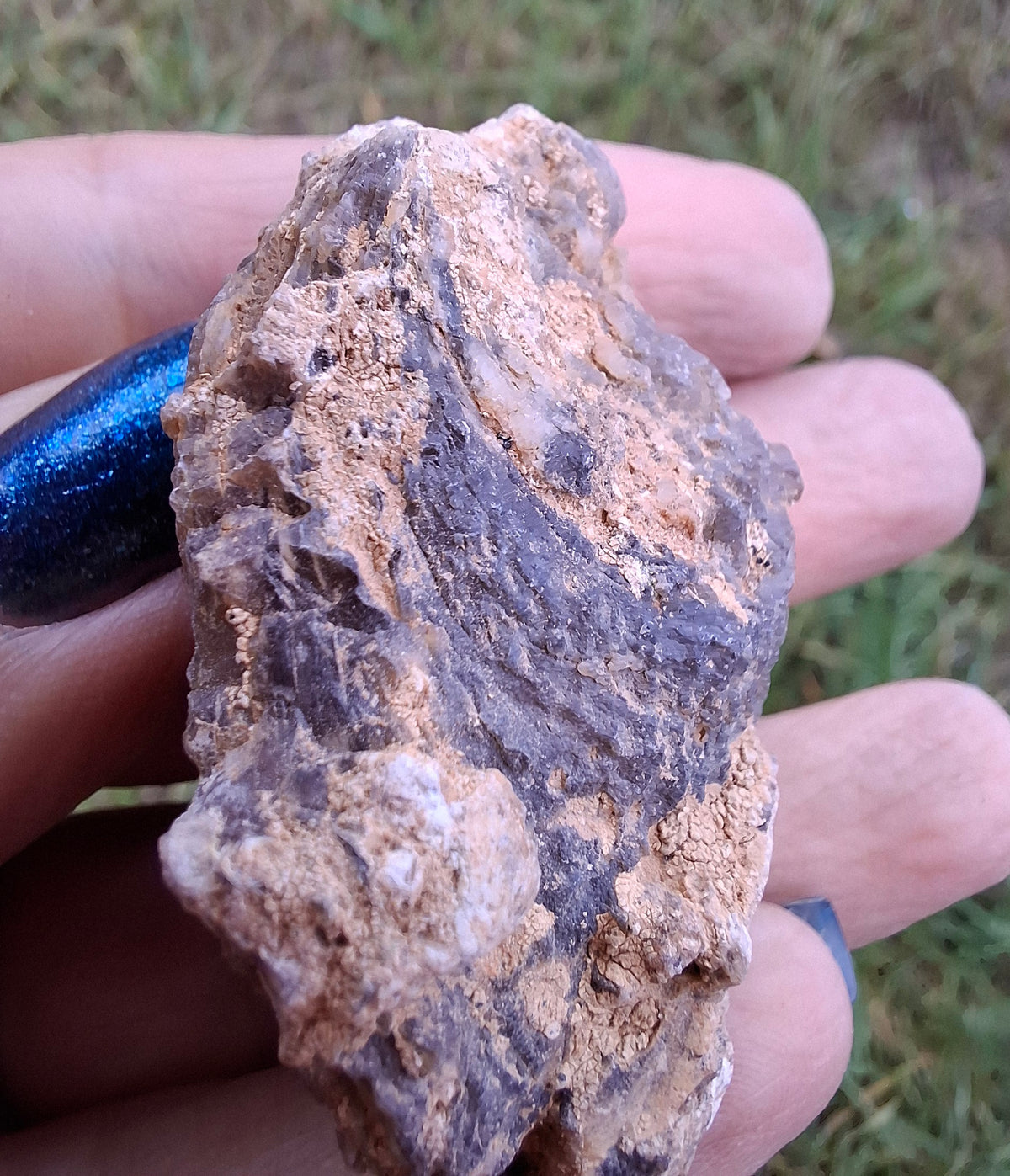 Chalcedony Oyster, Fossil (Ref: FO3)