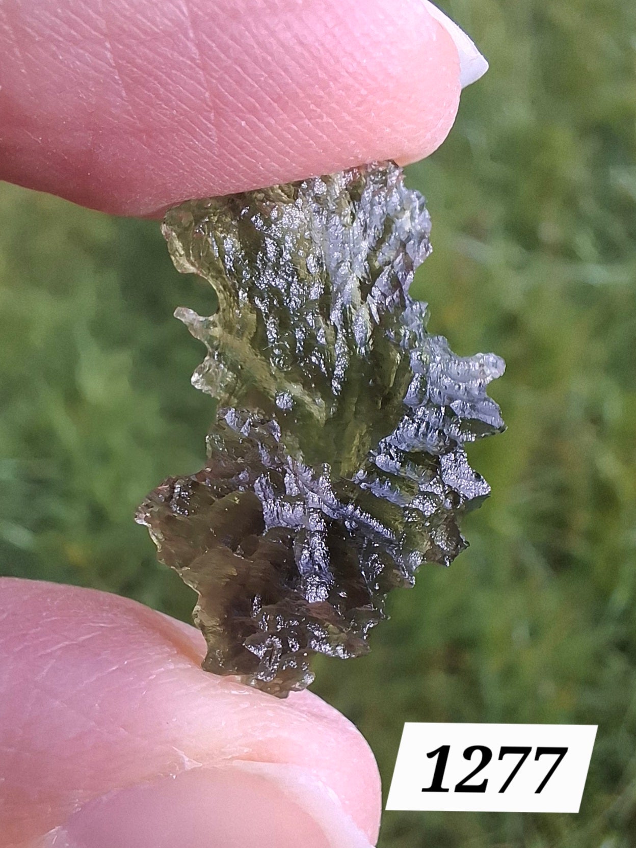 Moldavite Piece, JEZKOVNA BESEDNICE, 1.50g, Tektite (Ref: 1277)