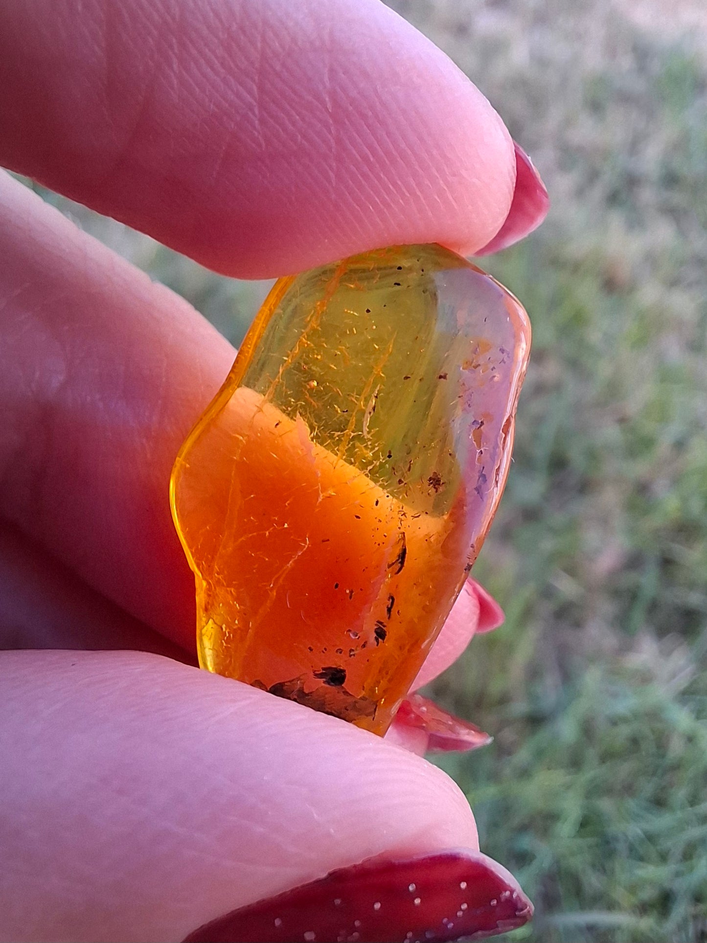 Baltic Amber, 1.23g, Fossil (Ref: A237)