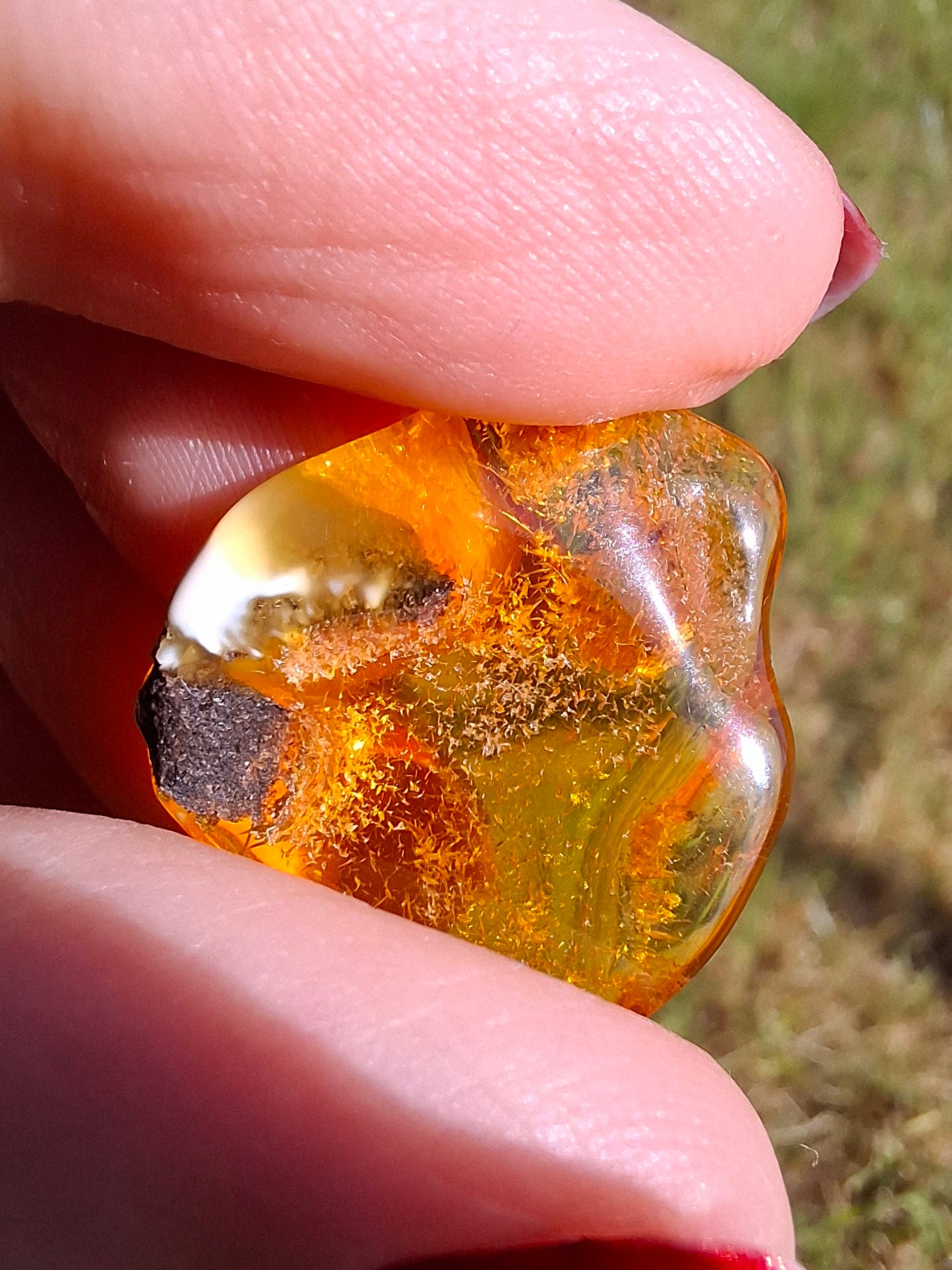 Baltic Amber, 1.45g, Fossil (Ref: A76)