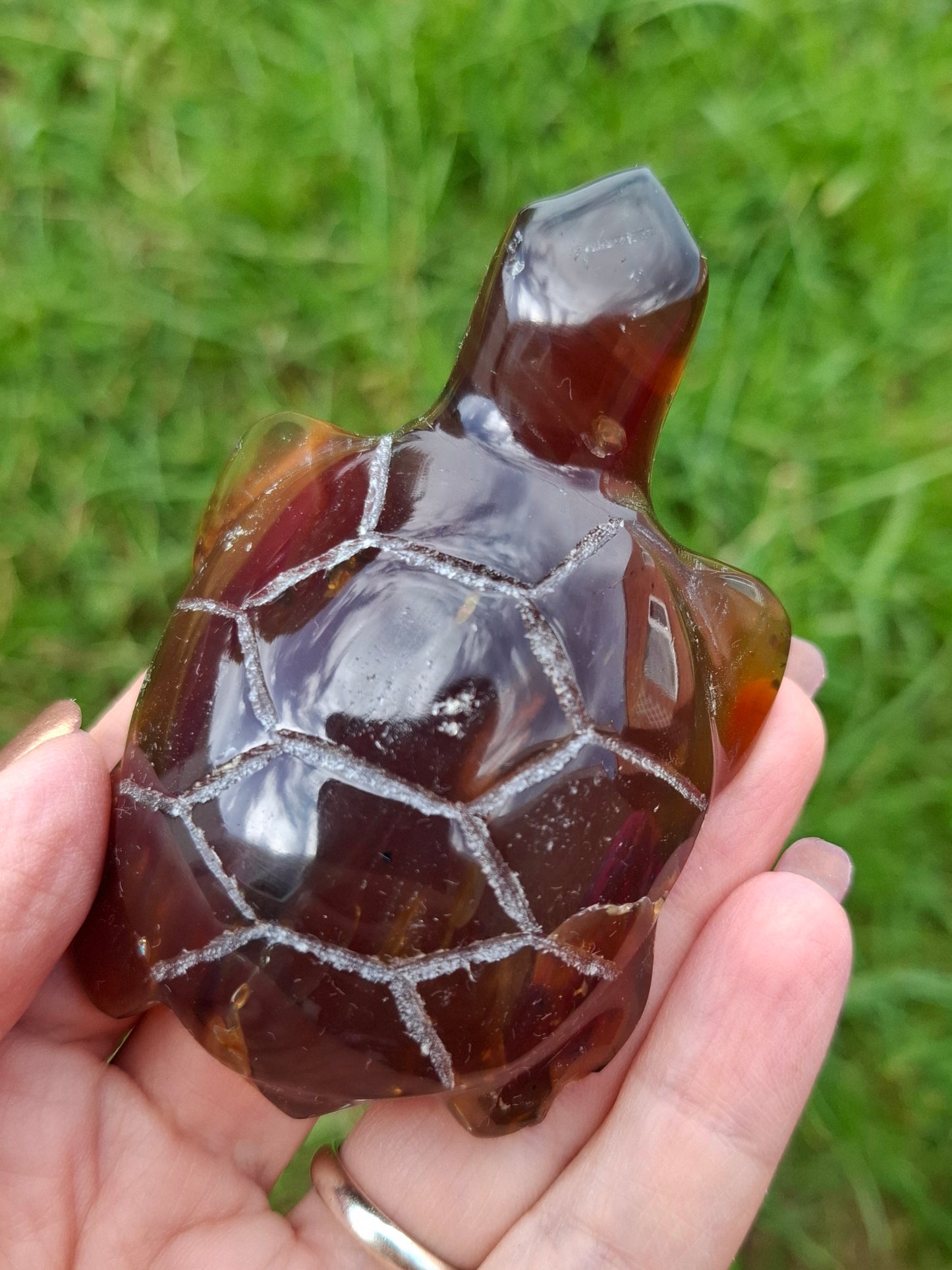 Red Amber Turtle, 49.15g, Carving, Fossil (Ref: TT1)