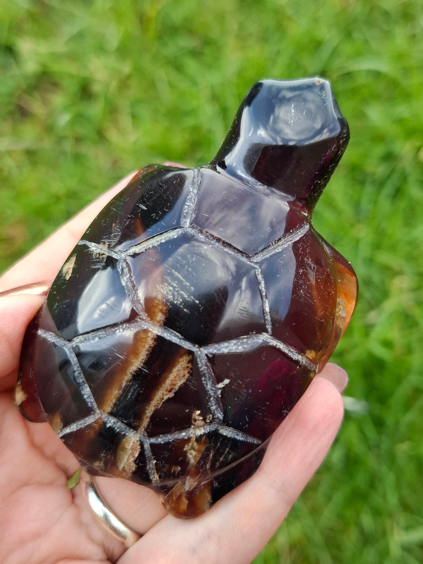 Red Amber Turtle, 52.00g, Carving, Fossil (Ref: TT3)