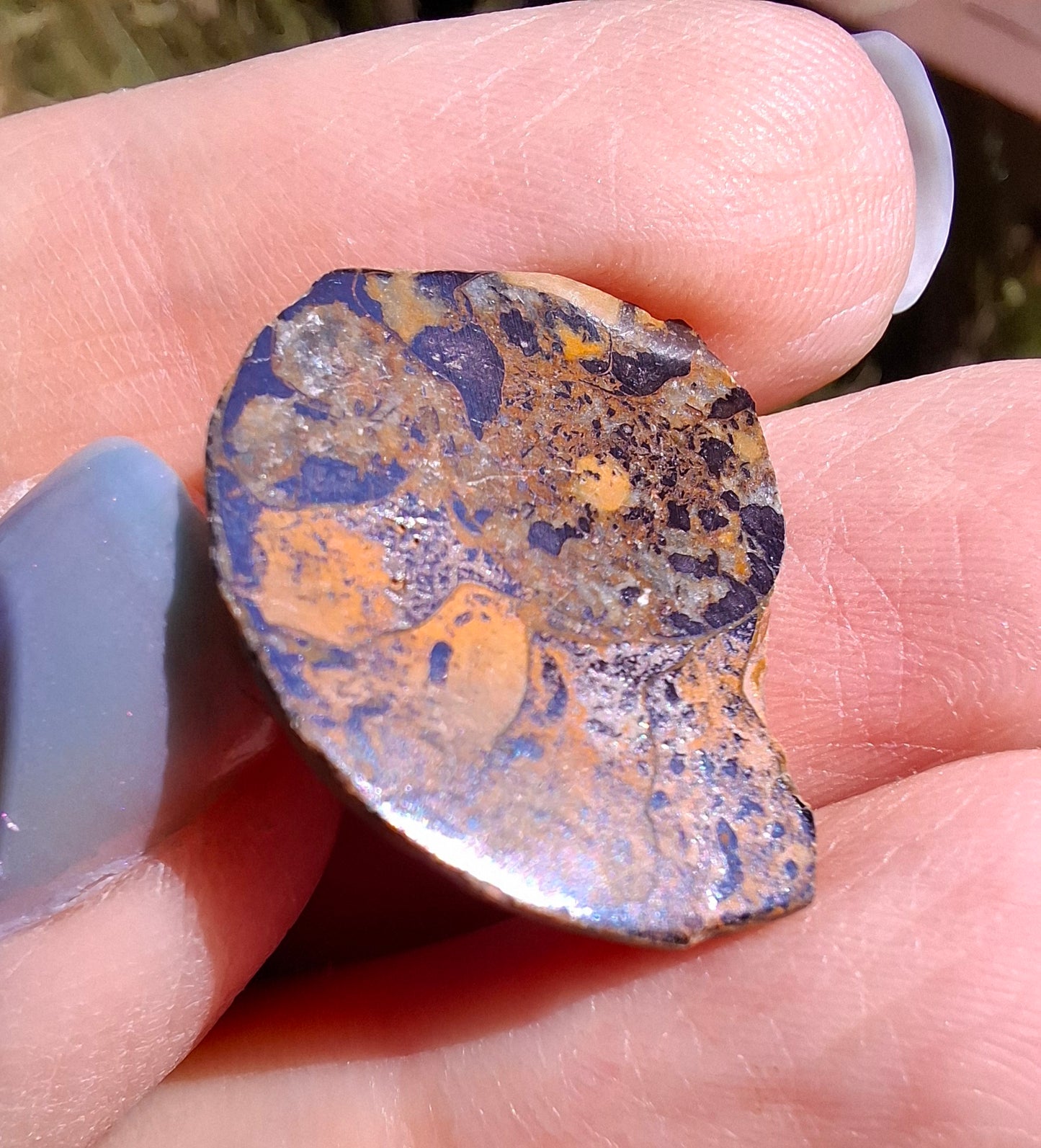 Small Haematite Ammonite HALF, 2.59g, Fossil (Ref: MA7)