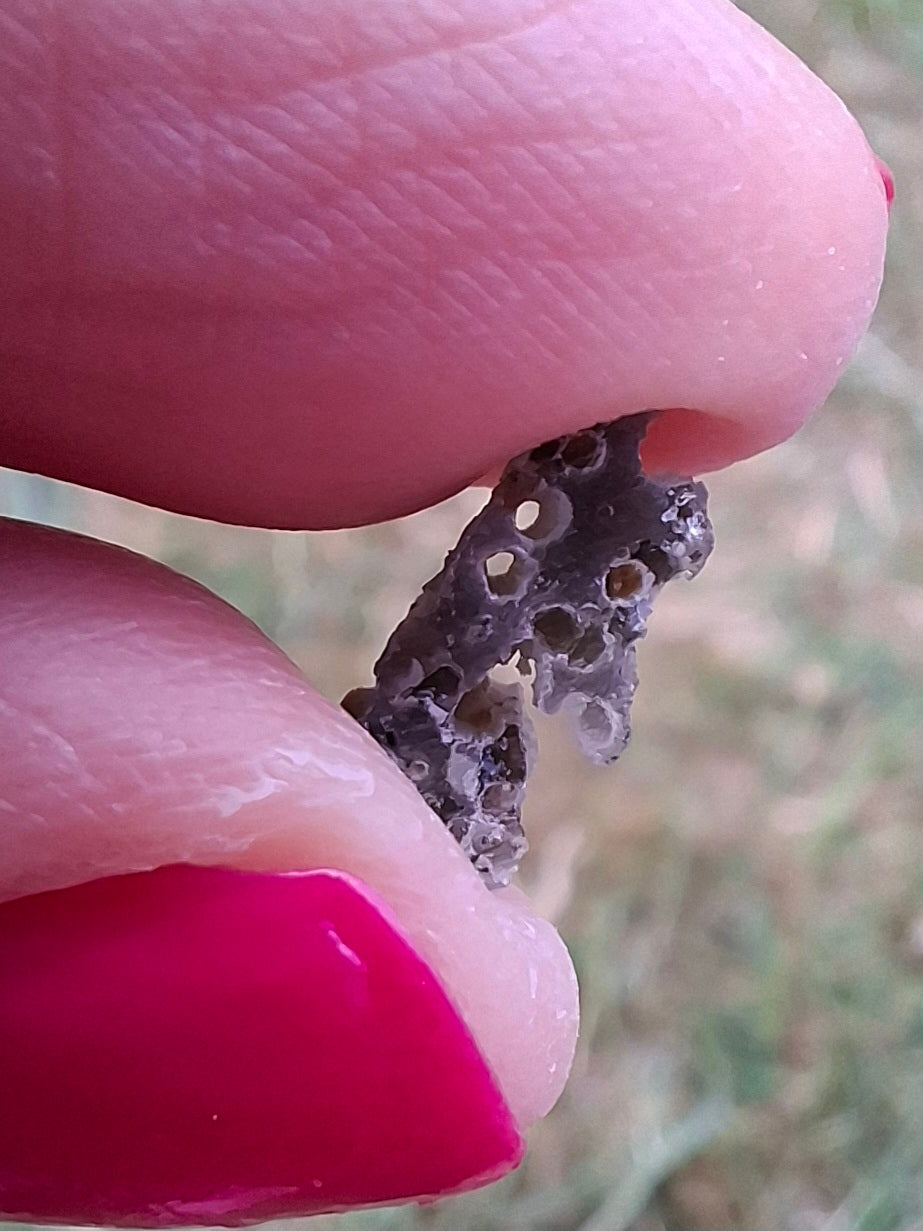 Moldavite Piece, SNOWFLAKE, FROSTED, BRUSNA, Tektite (Ref: 1495)