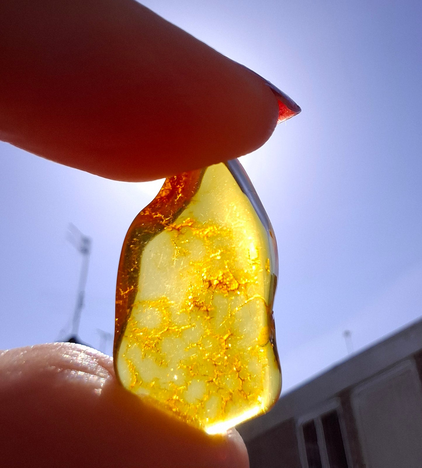 Baltic Amber, 1.16g, Fossil (Ref: A126)