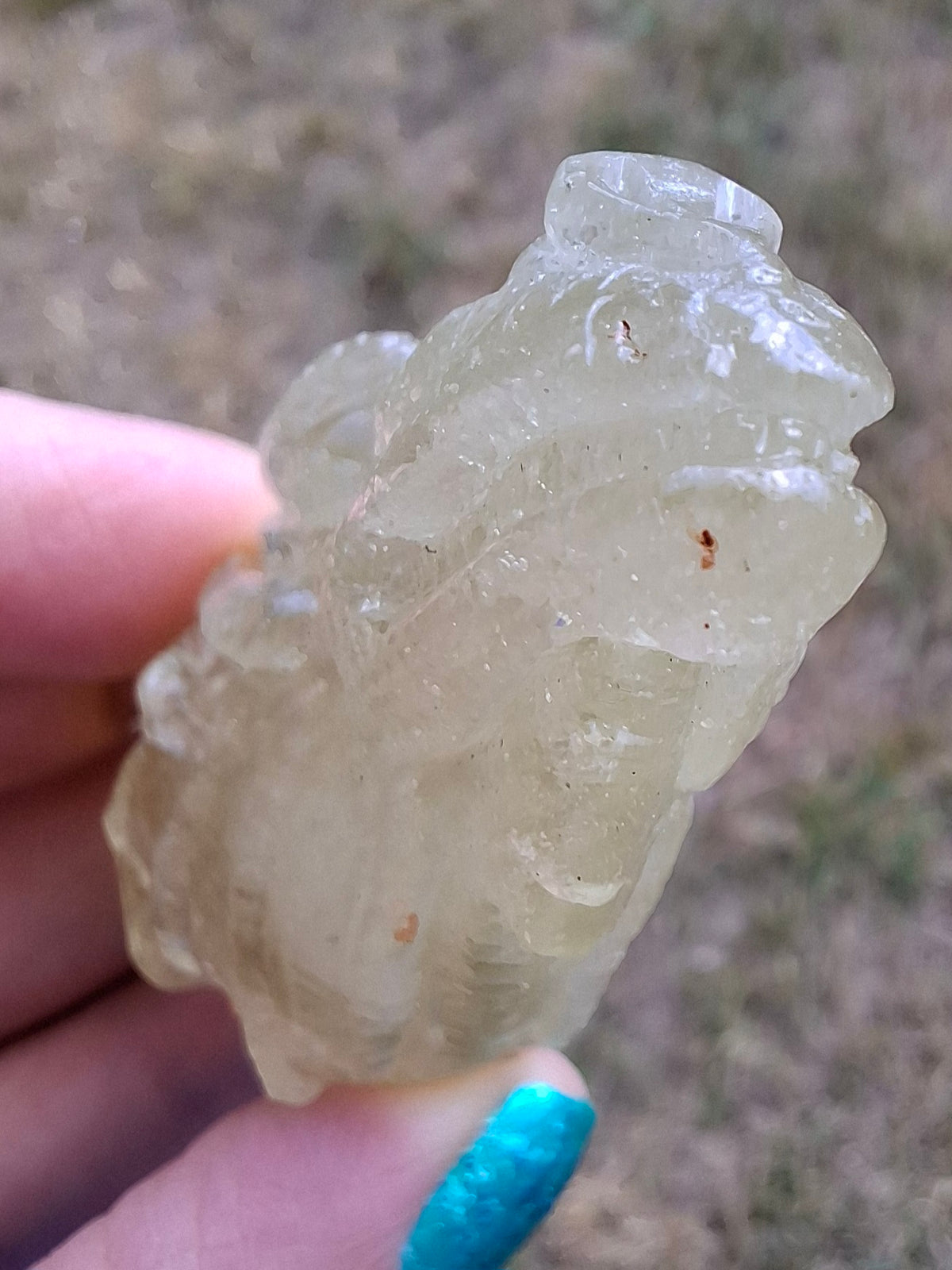 Libyan Desert Glass DRAGON HEAD carving, 48.11g, Tektite (Ref: Dragon4)