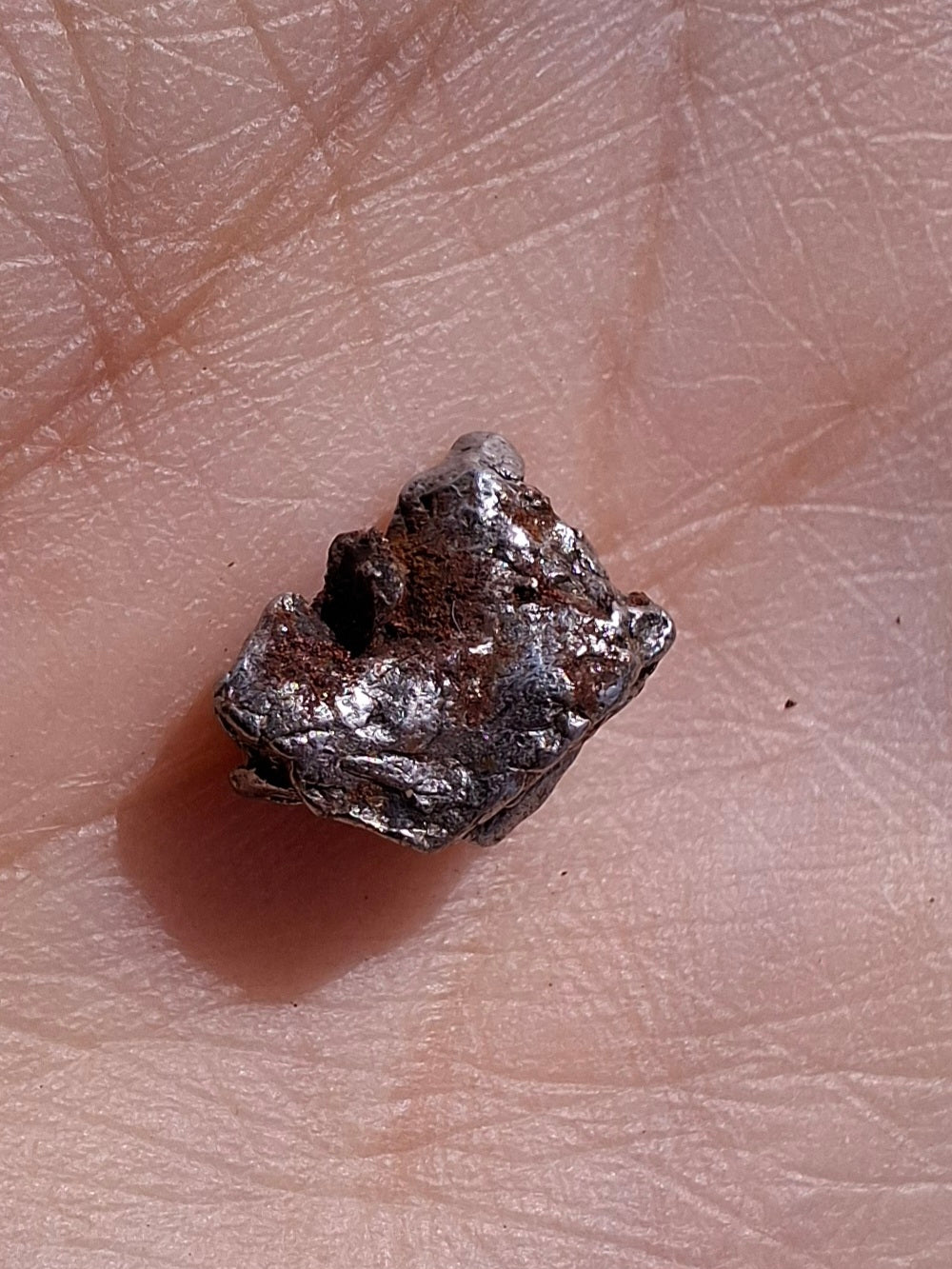 Campo del Cielo, 1.20g, Nickel Iron Meteorite (Ref: C12)