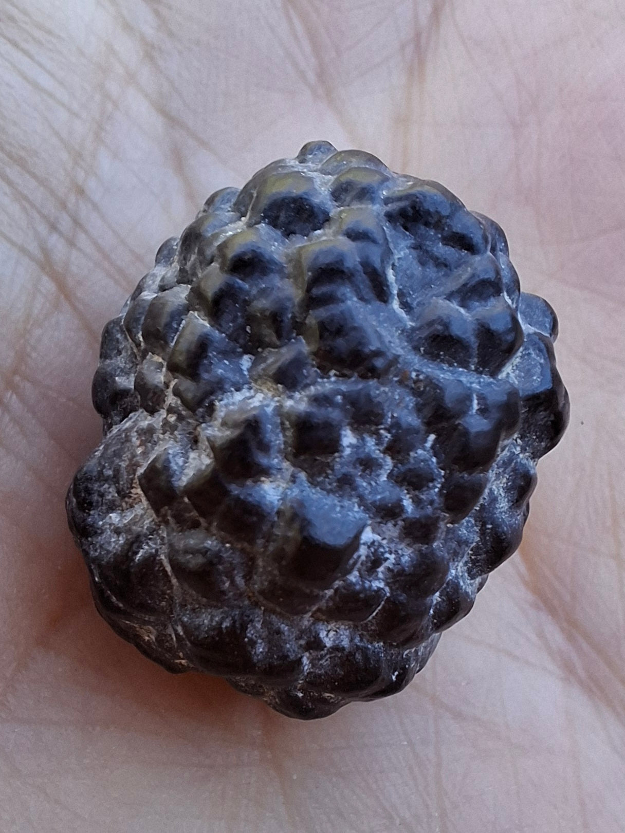 Prophecy Stone, 14.34g (Ref: PS22)