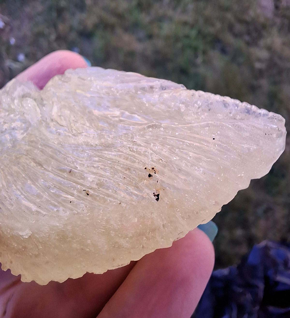Libyan Desert Glass DRAGON HEAD Carving, 75.84g, Tektite (Ref: Dragon1)