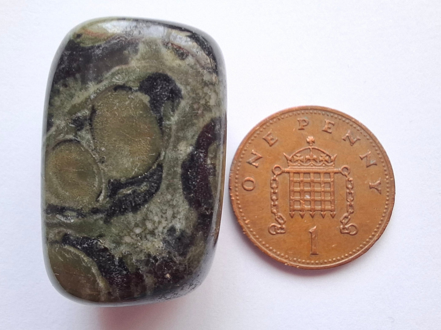 Kambaba Jasper, Tumble Stone, Crystal (Ref: T161)