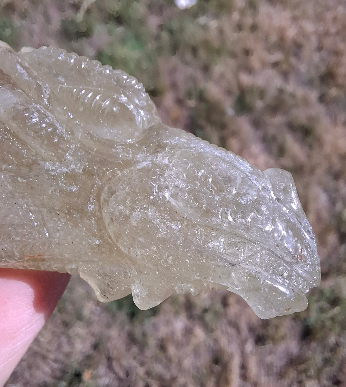 Libyan Desert Glass DRAGON HEAD carving, 48.11g, Tektite (Ref: Dragon4)
