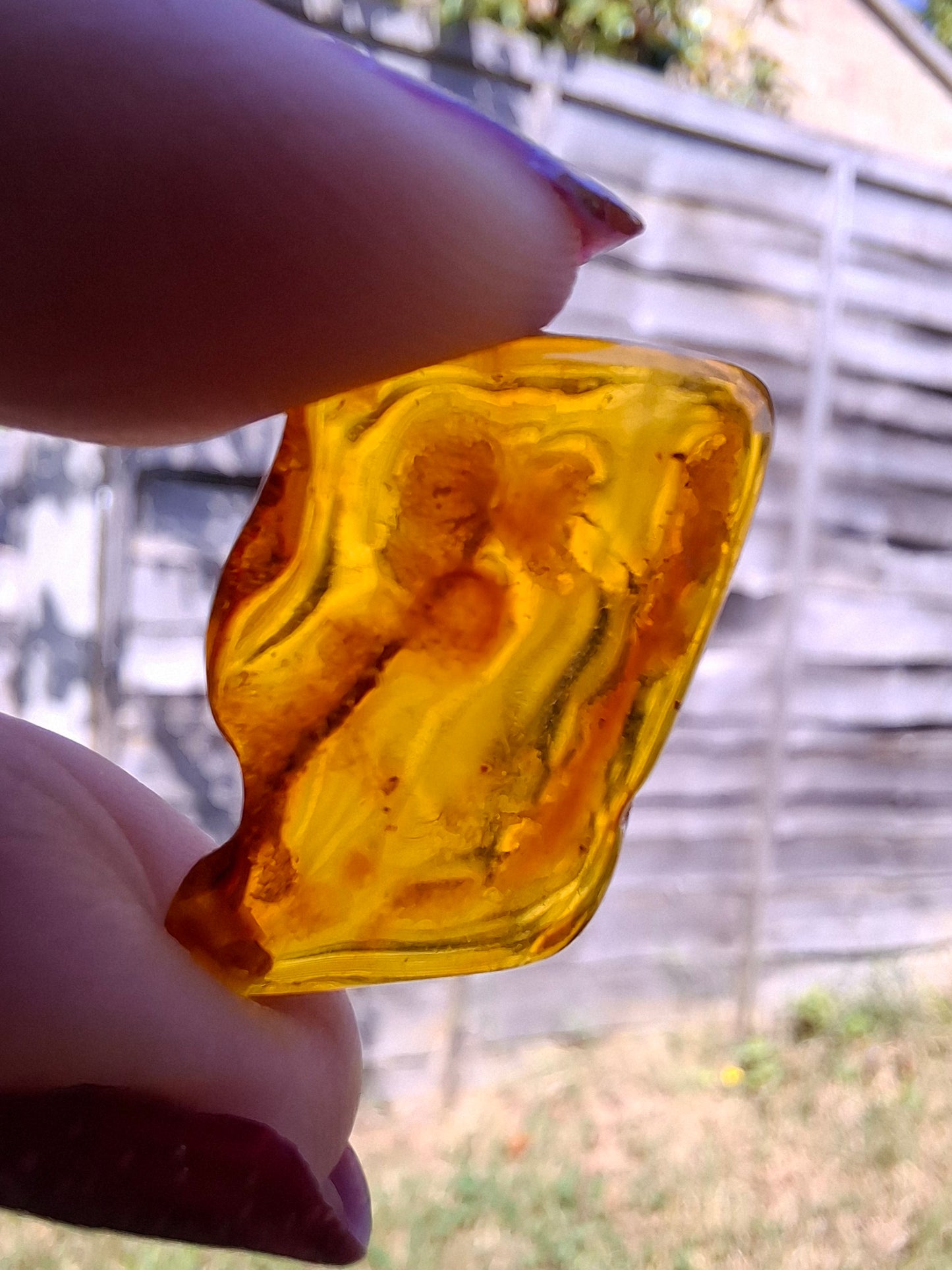 Baltic Amber, 1.40g, Fossil (Ref: A187)