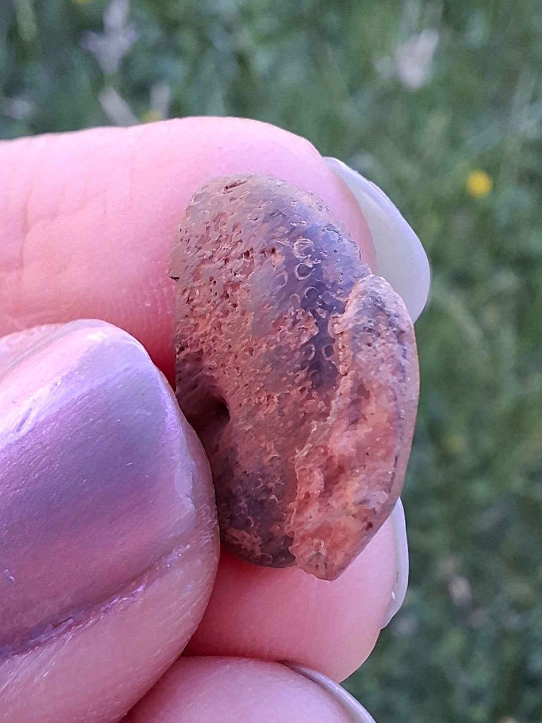 Small Haematite Ammonite HALF, 1.32g, Fossil (Ref: MA5)