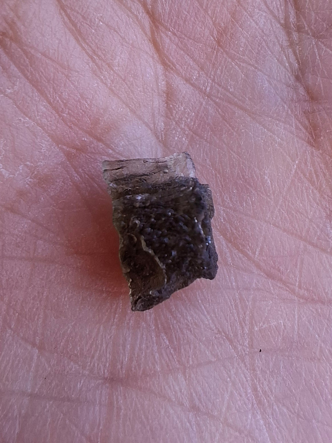 Moldavite Piece, 0.50g, Tektite (Ref: 1395)
